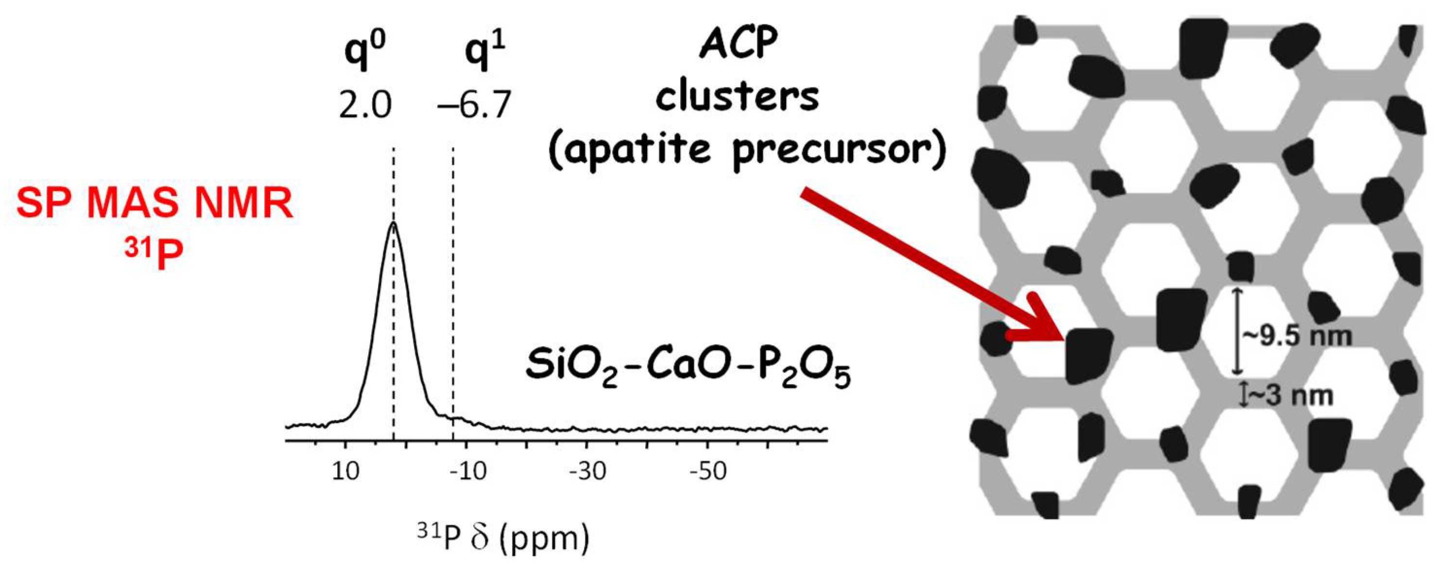 Pharmaceutics 14 02636 g002