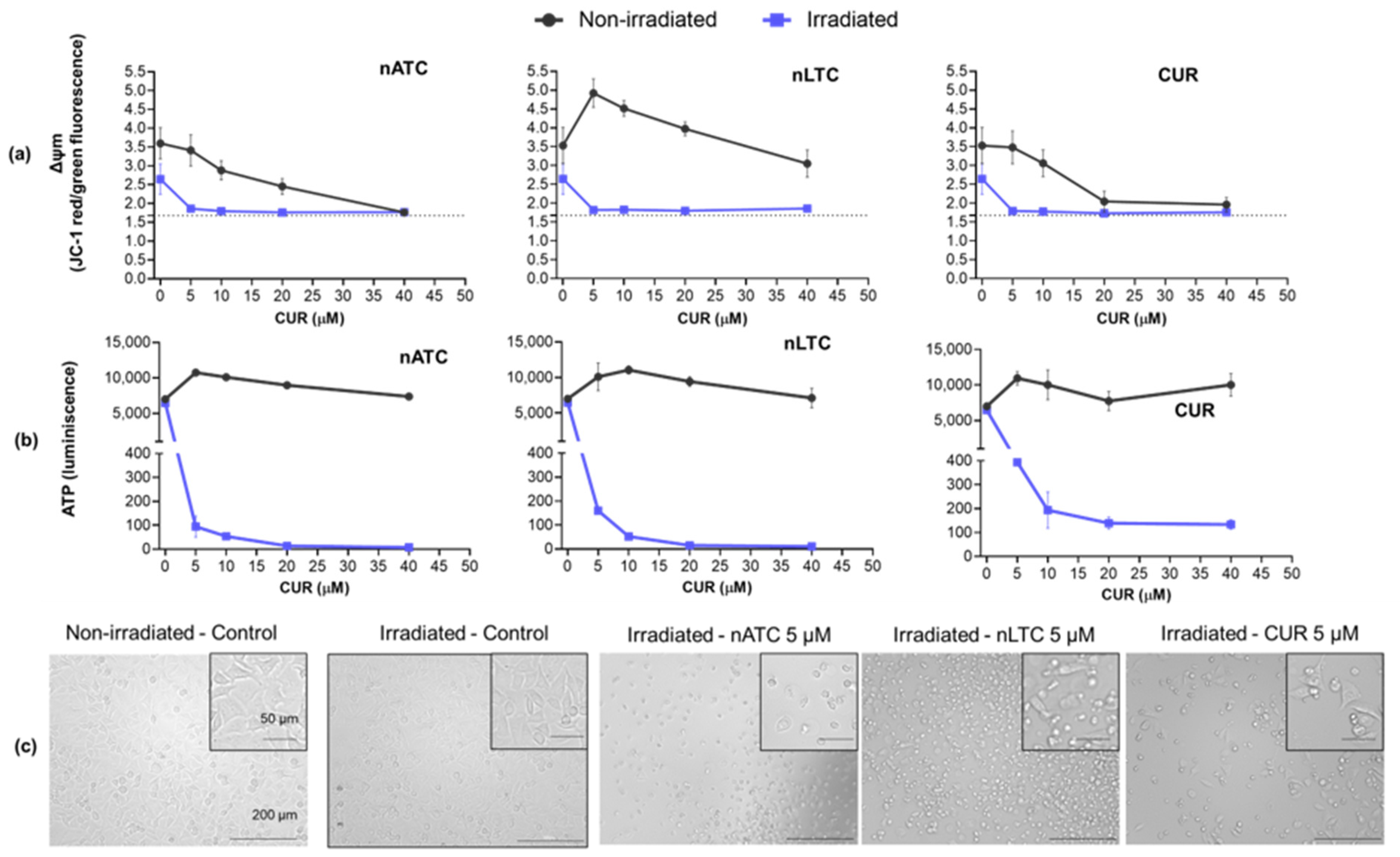 Pharmaceutics 14 02637 g004