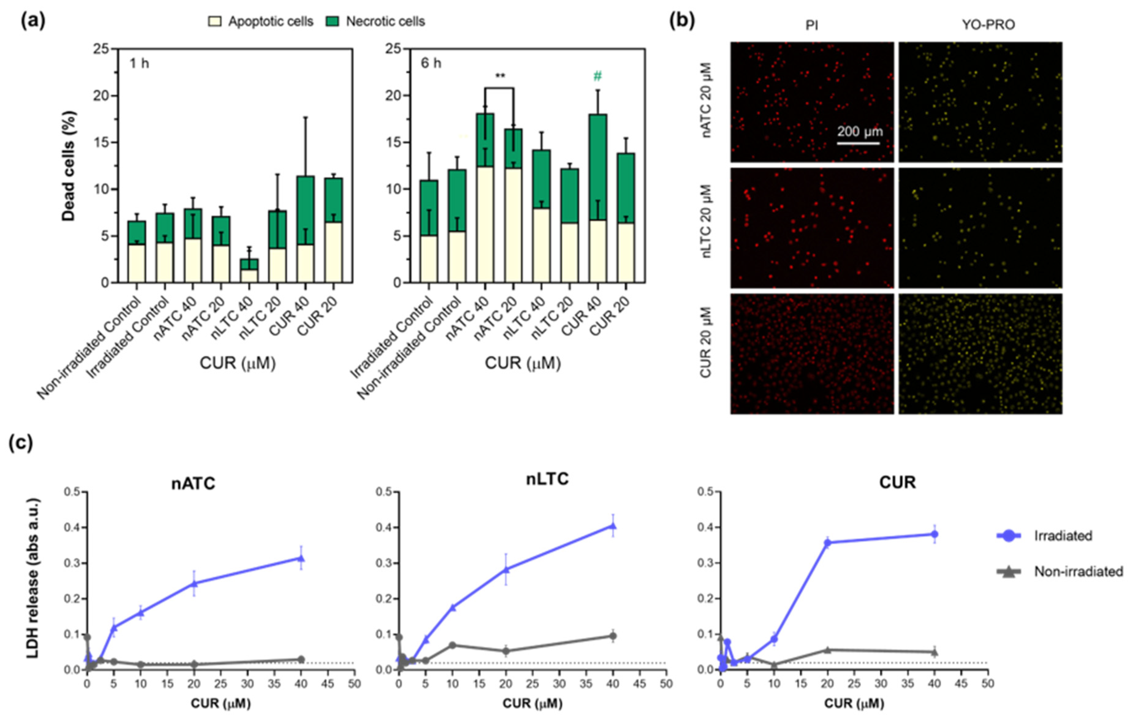 Pharmaceutics 14 02637 g005