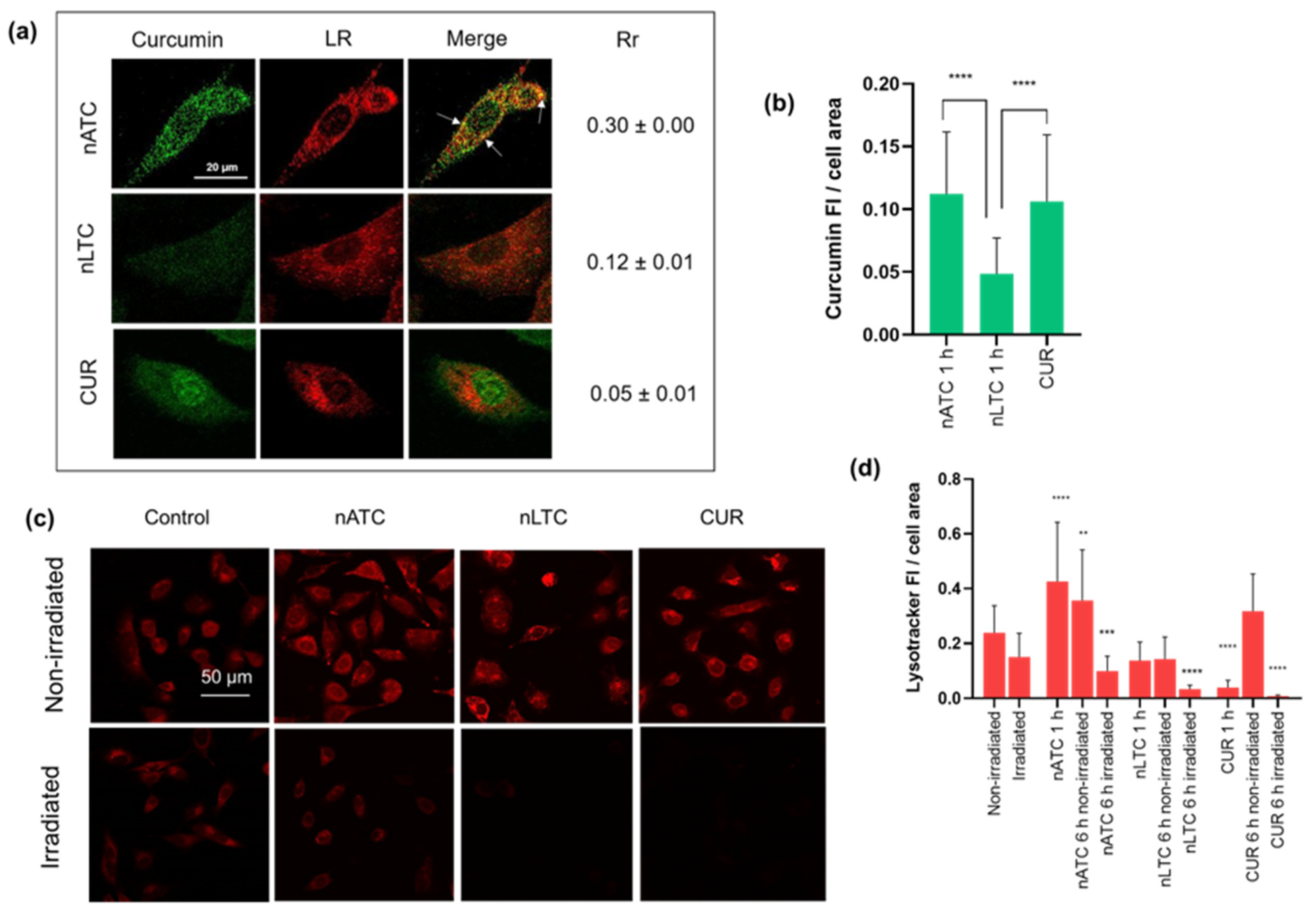 Pharmaceutics 14 02637 g006