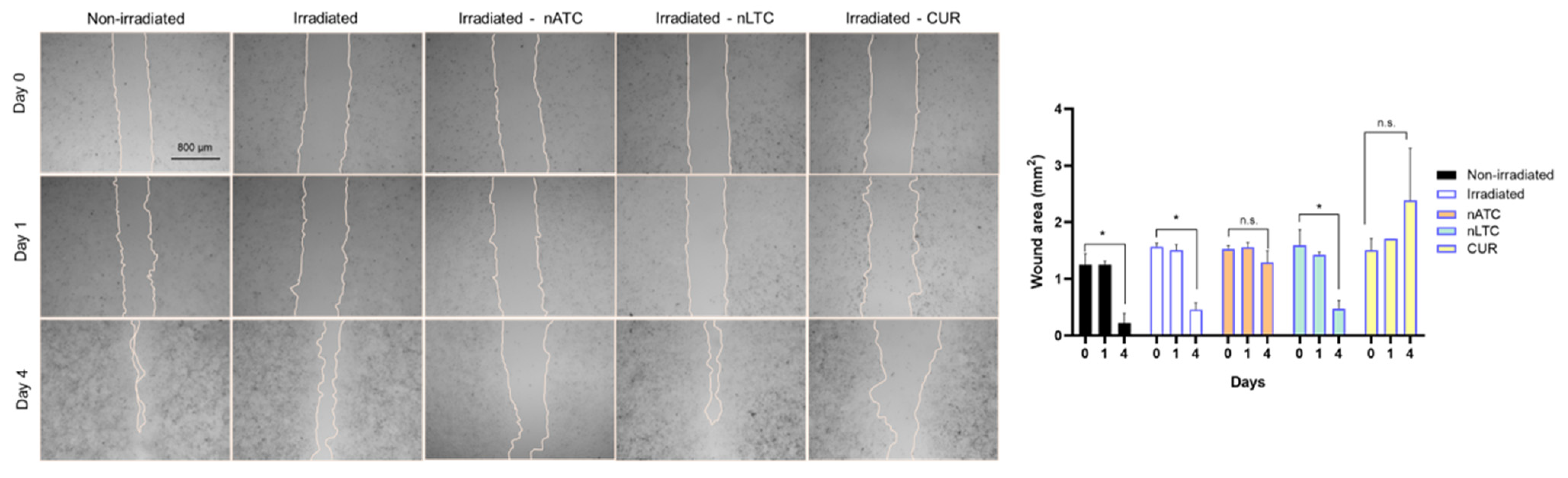 Pharmaceutics 14 02637 g009