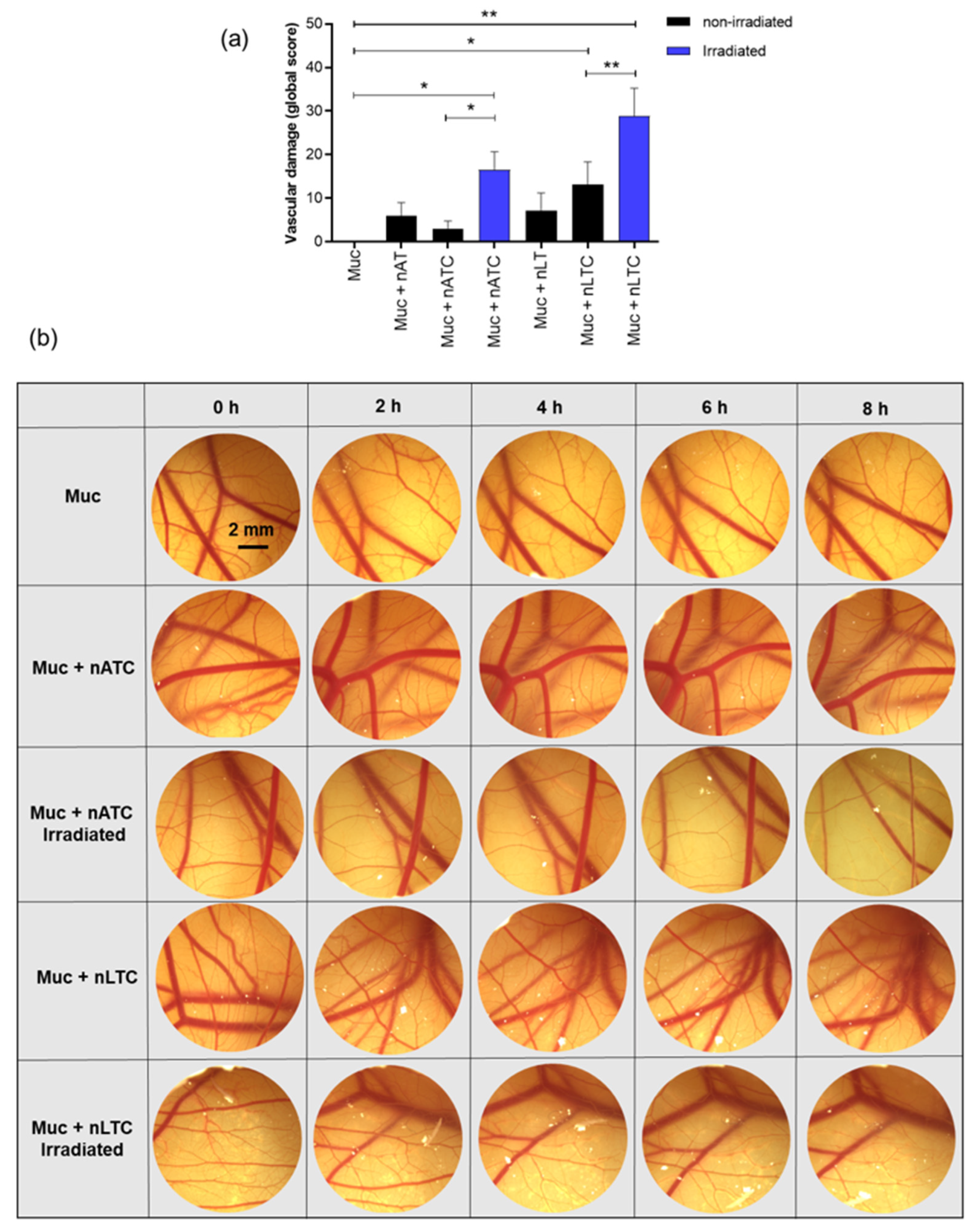Pharmaceutics 14 02637 g010