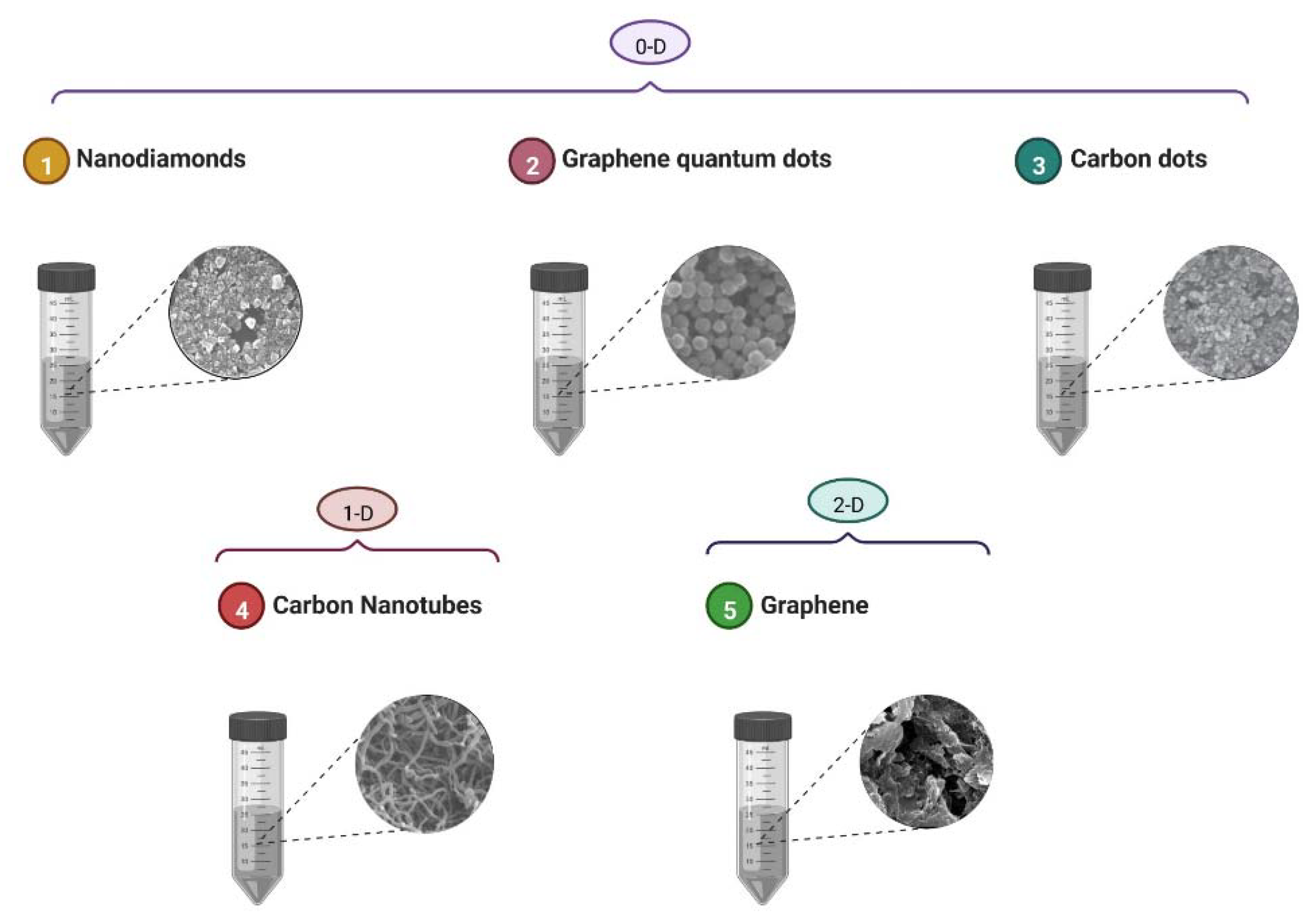 Pharmaceutics 14 02640 g002 Pharmaceutics 14 02640 g002
