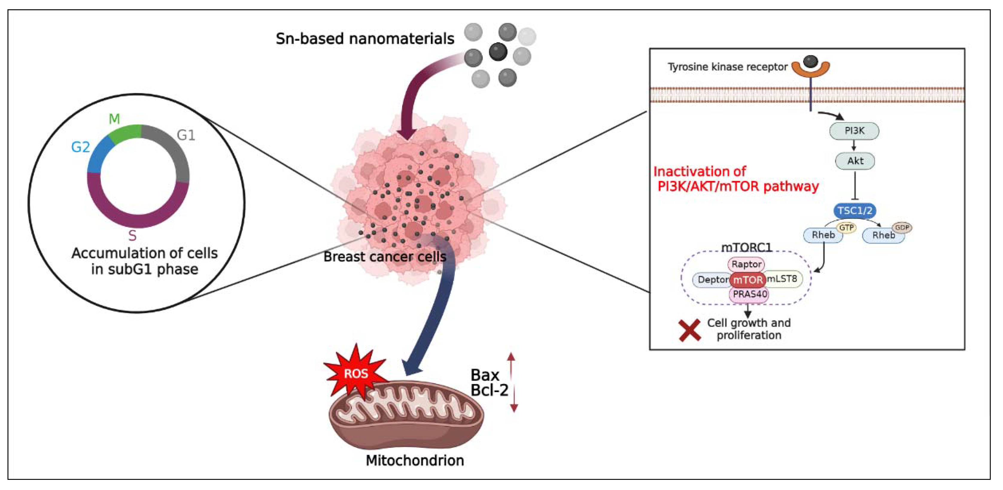 Pharmaceutics 14 02640 g009 Pharmaceutics 14 02640 g009
