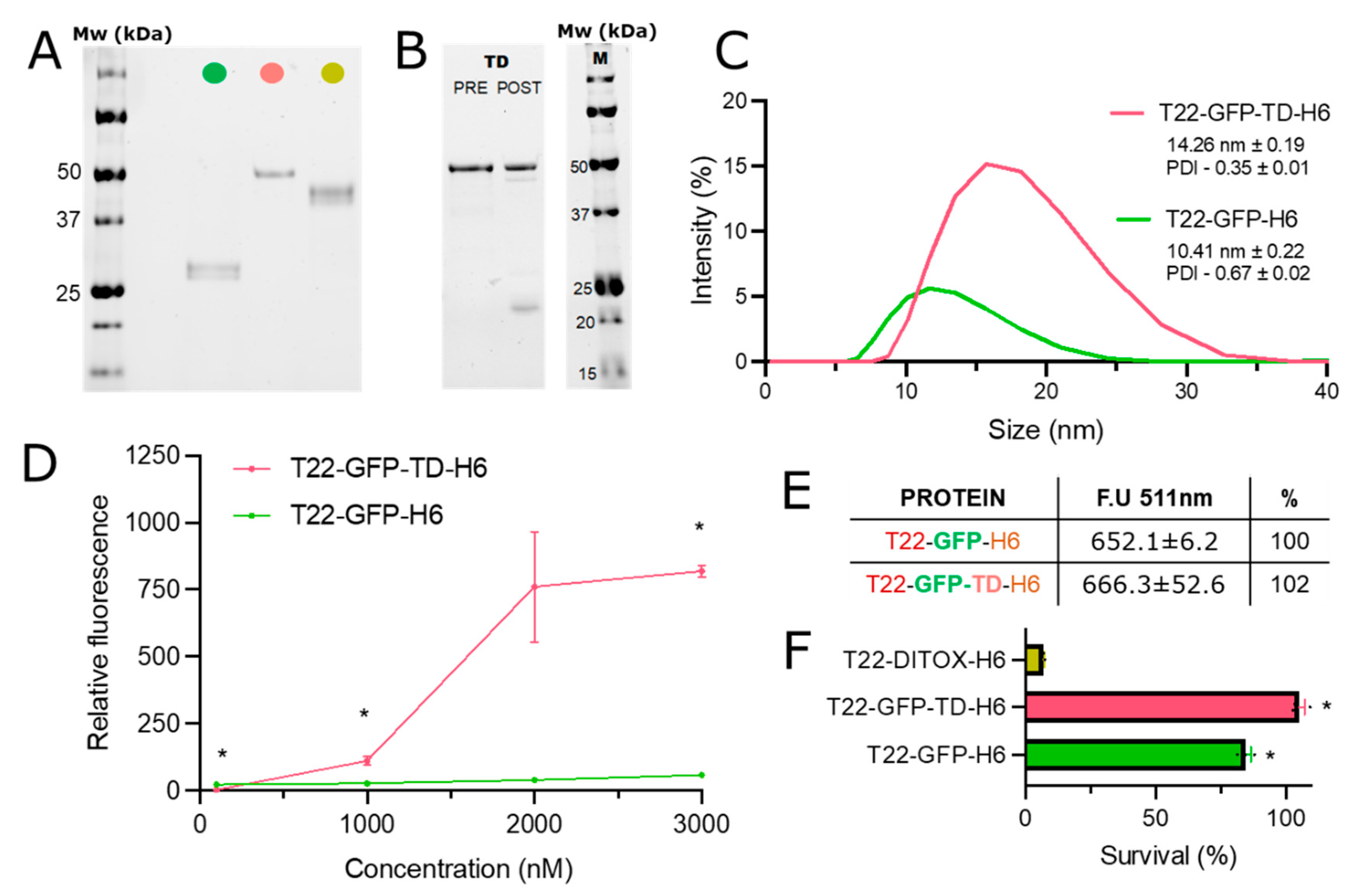 Pharmaceutics 14 02644 g002