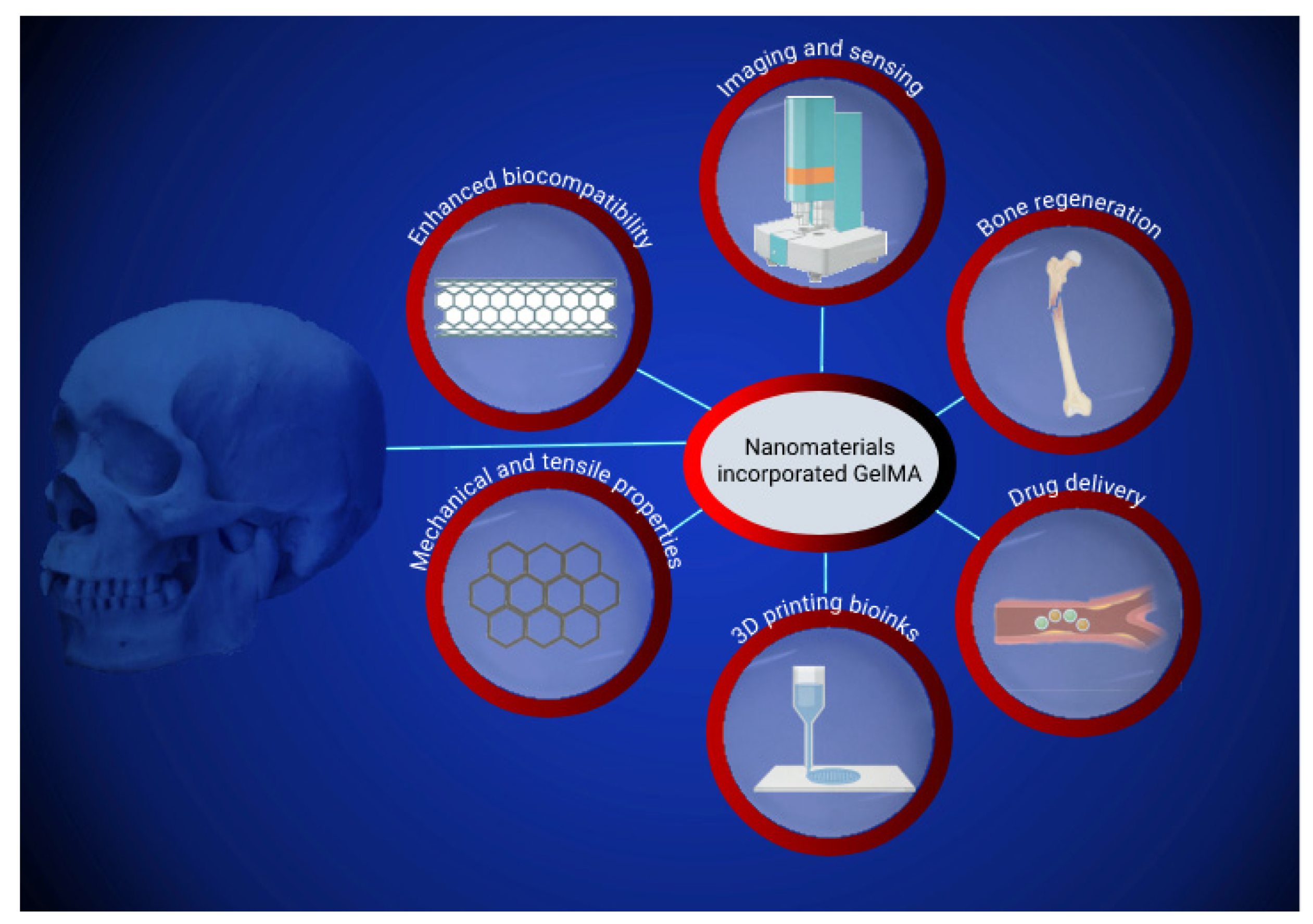 Pharmaceutics 14 02645 g002
