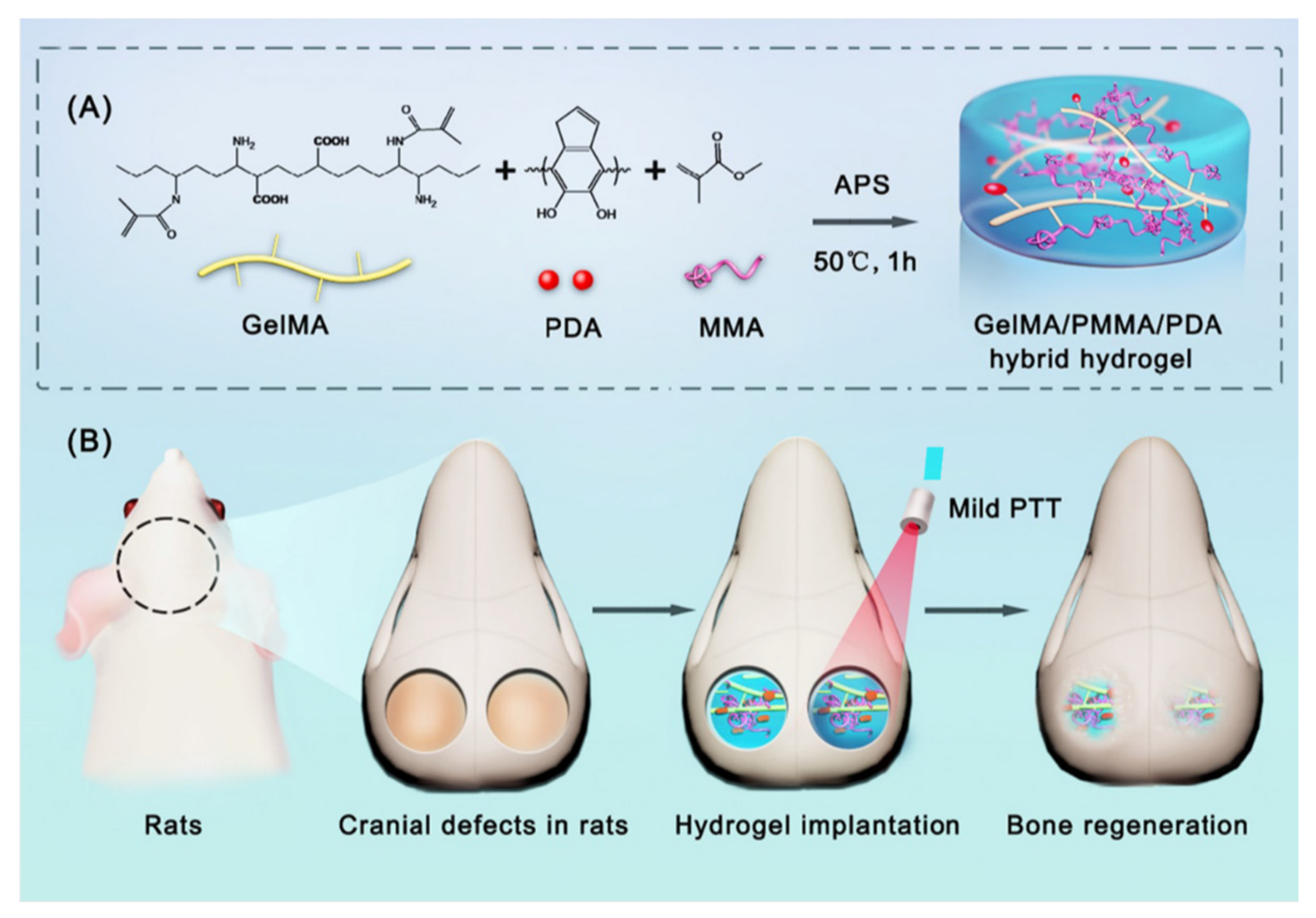 Pharmaceutics 14 02645 g003