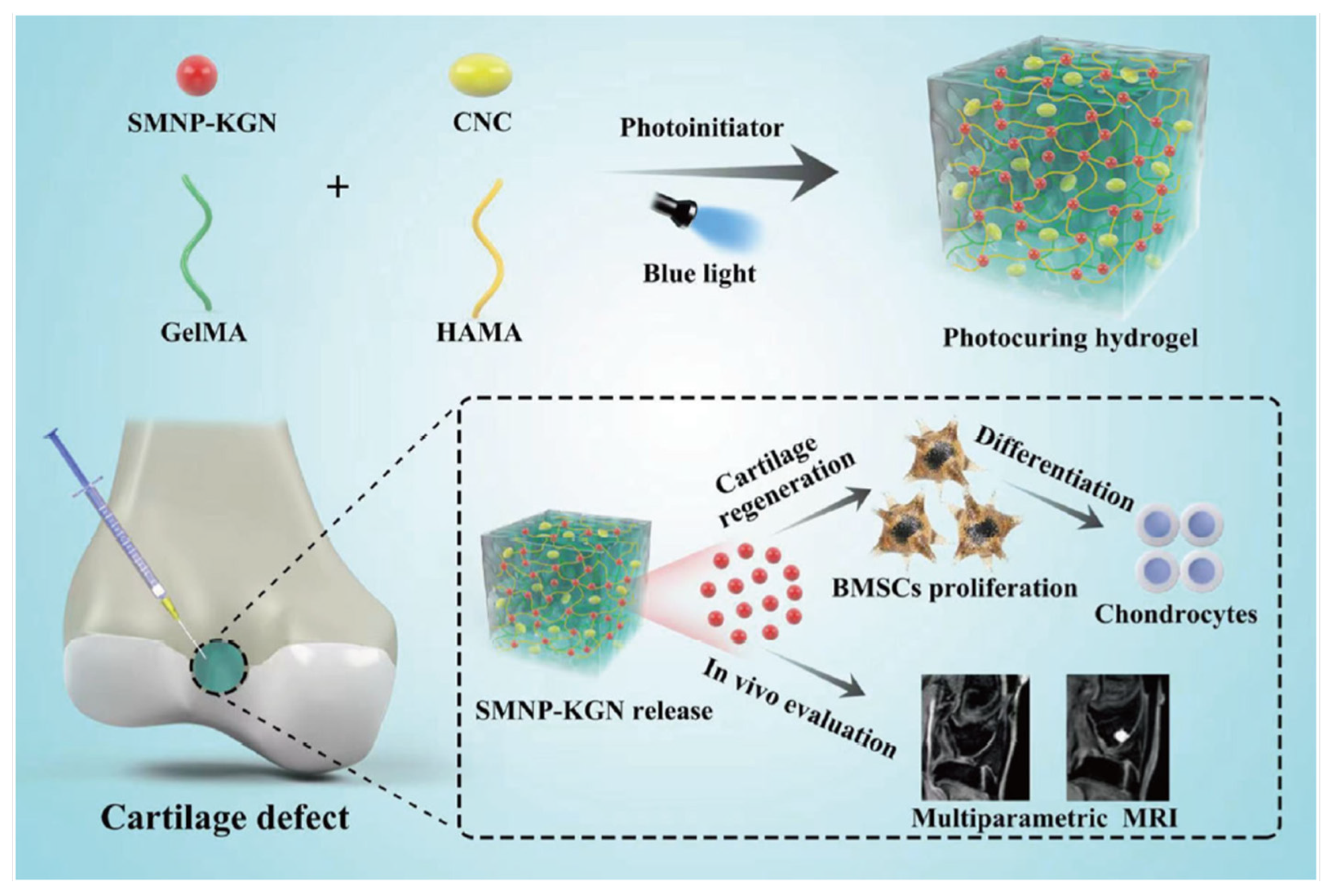 Pharmaceutics 14 02645 g005