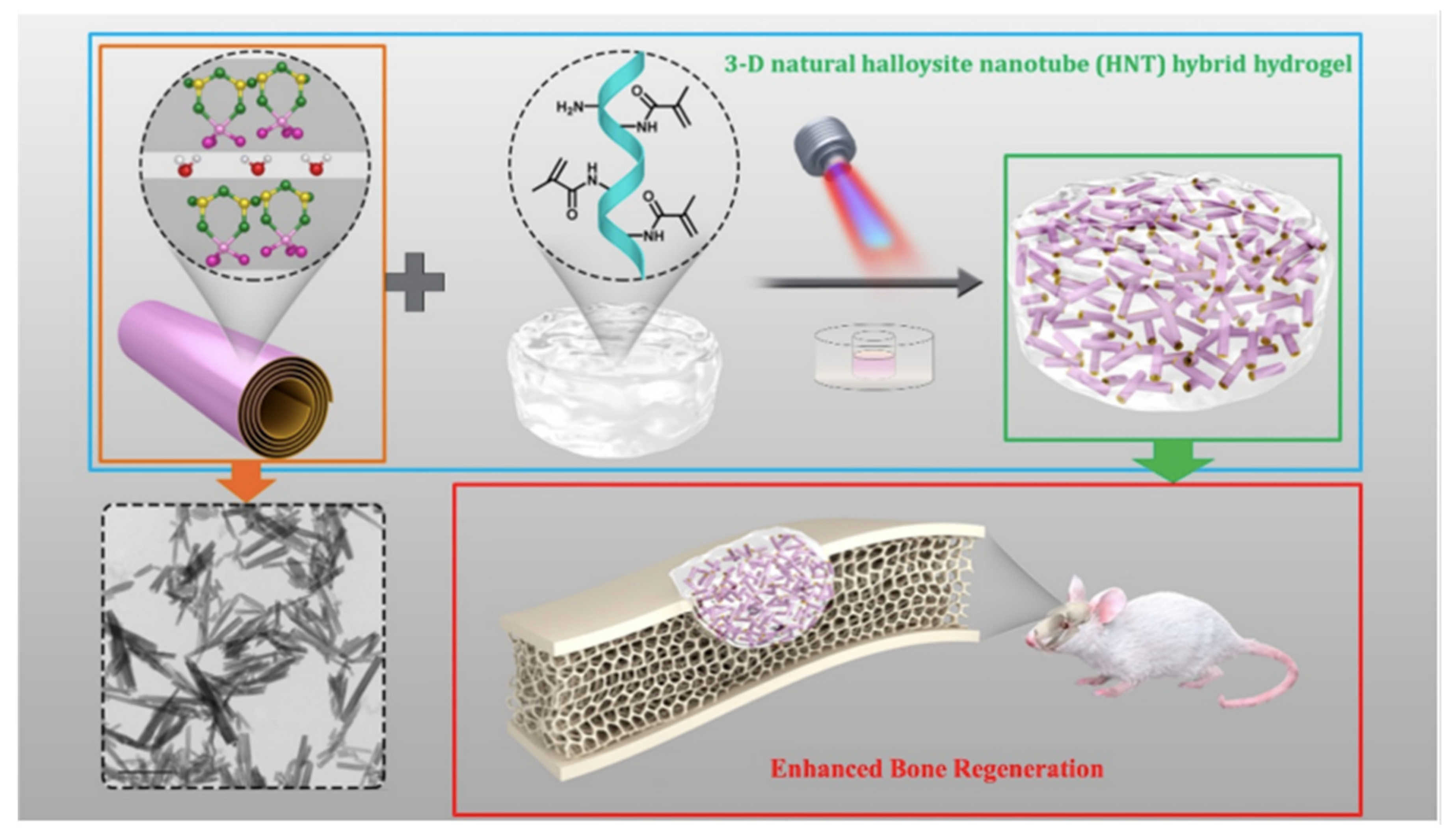 Pharmaceutics 14 02645 g006