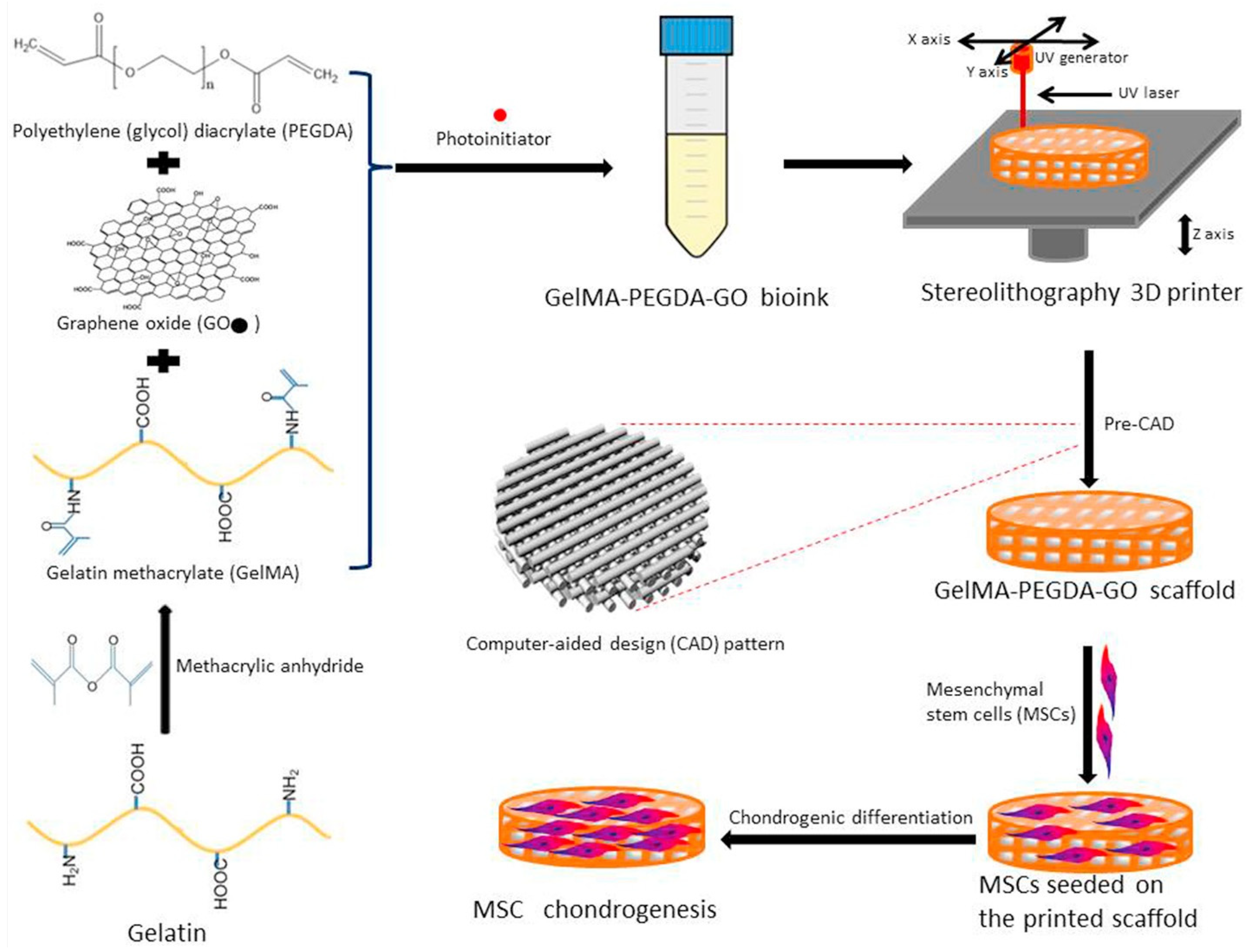 Pharmaceutics 14 02645 g007