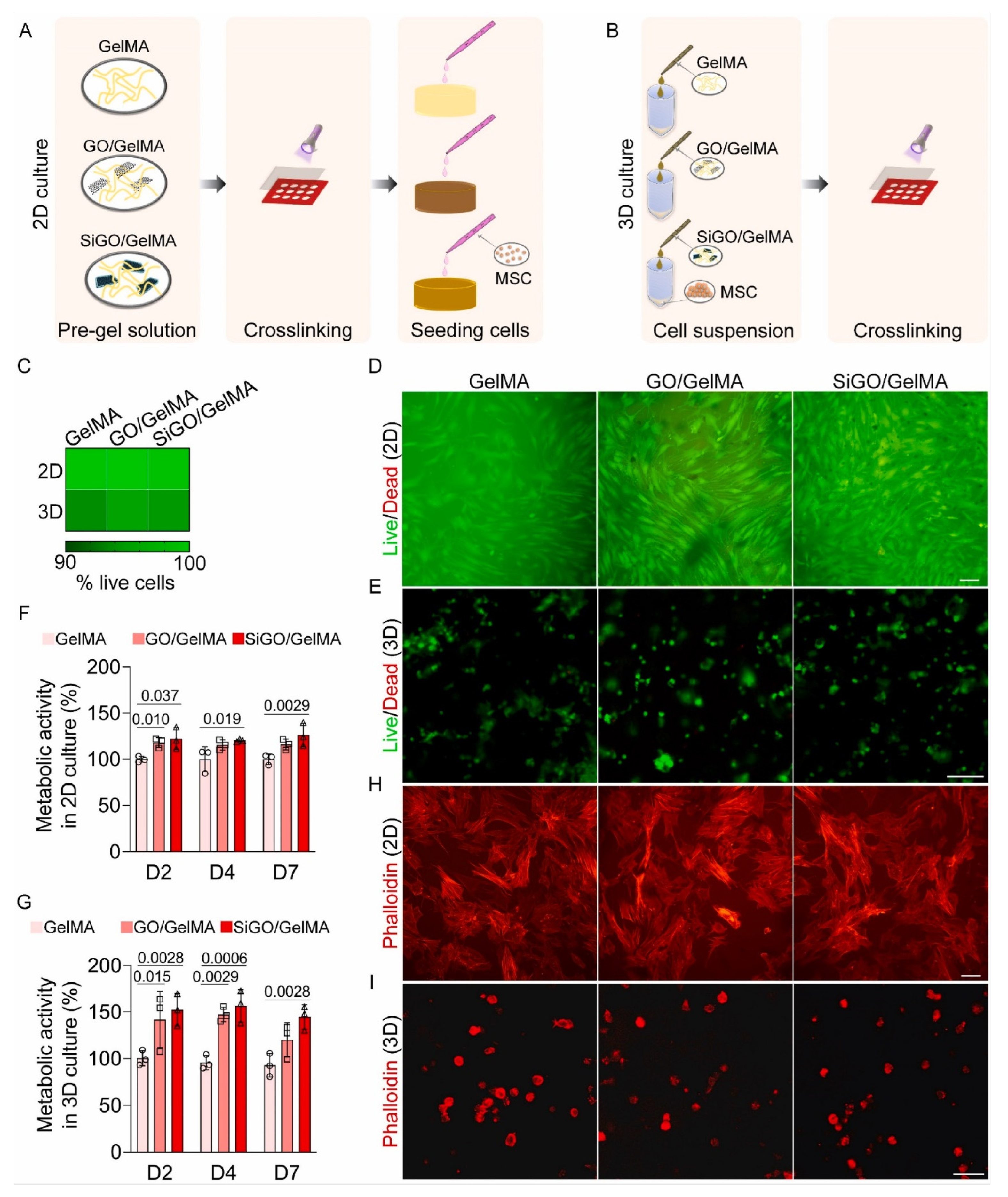 Pharmaceutics 14 02645 g010