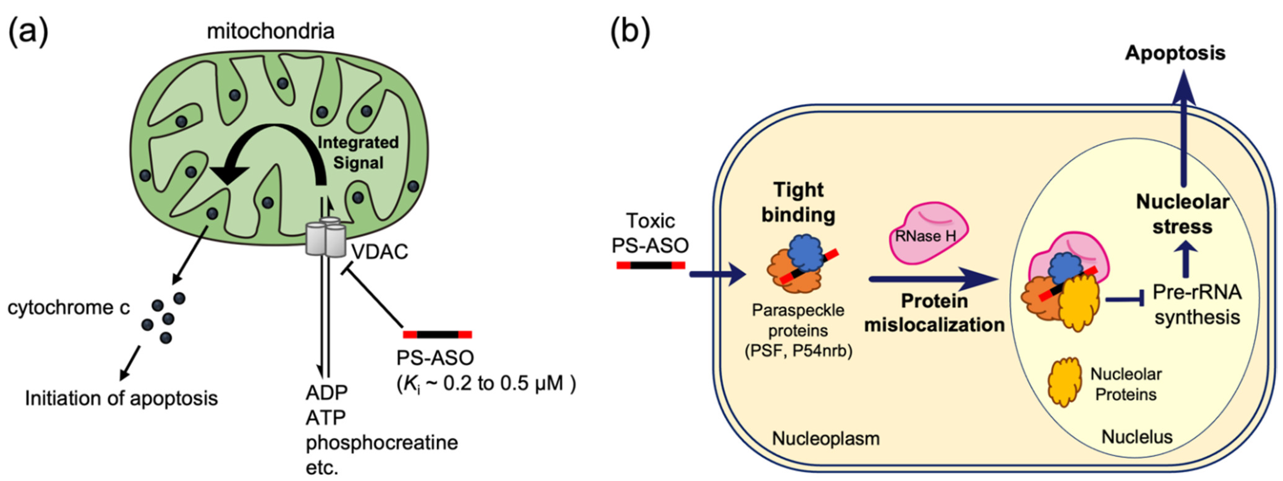 Pharmaceutics 14 02647 g003 Pharmaceutics 14 02647 g003