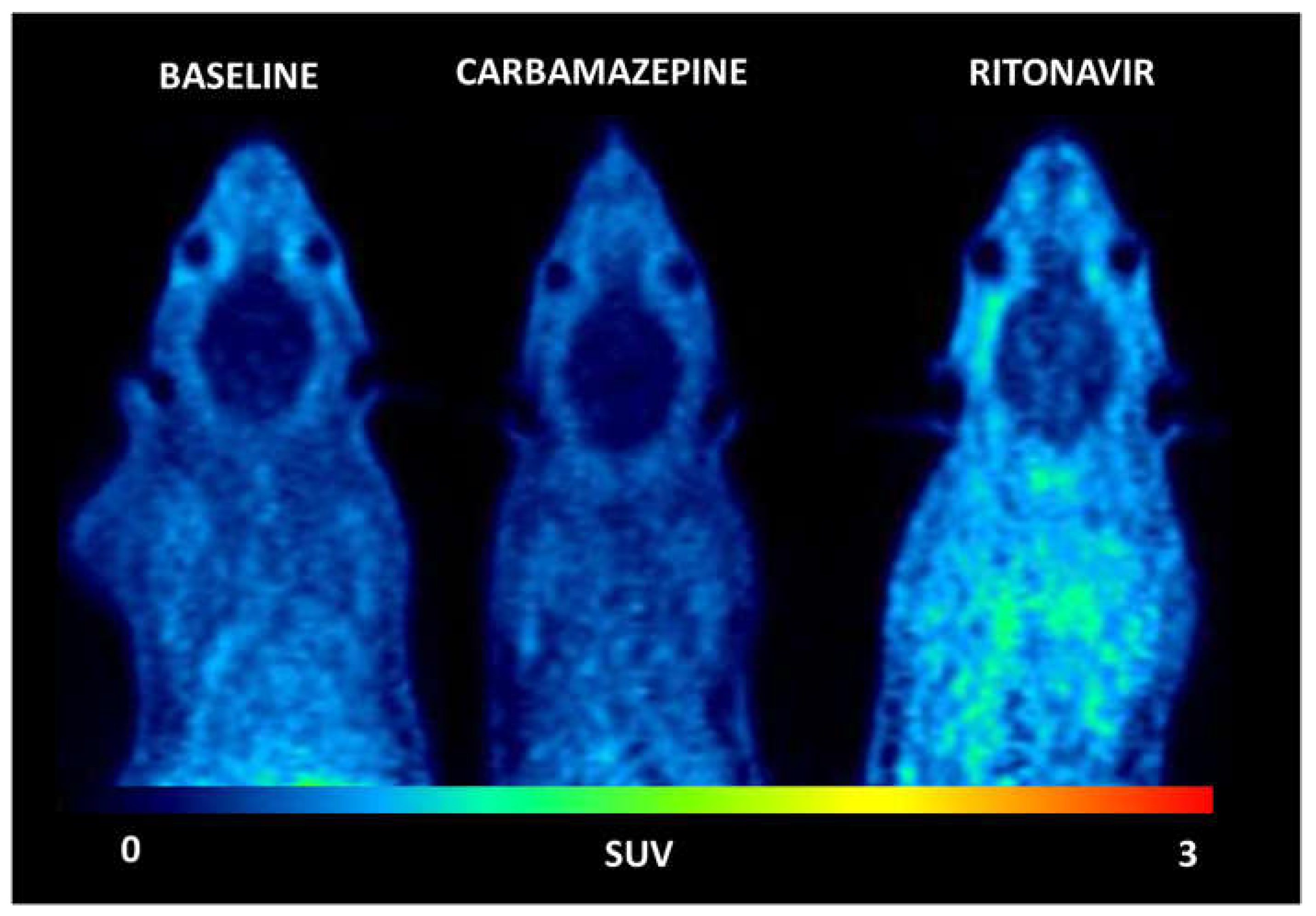 Pharmaceutics 14 02650 g001