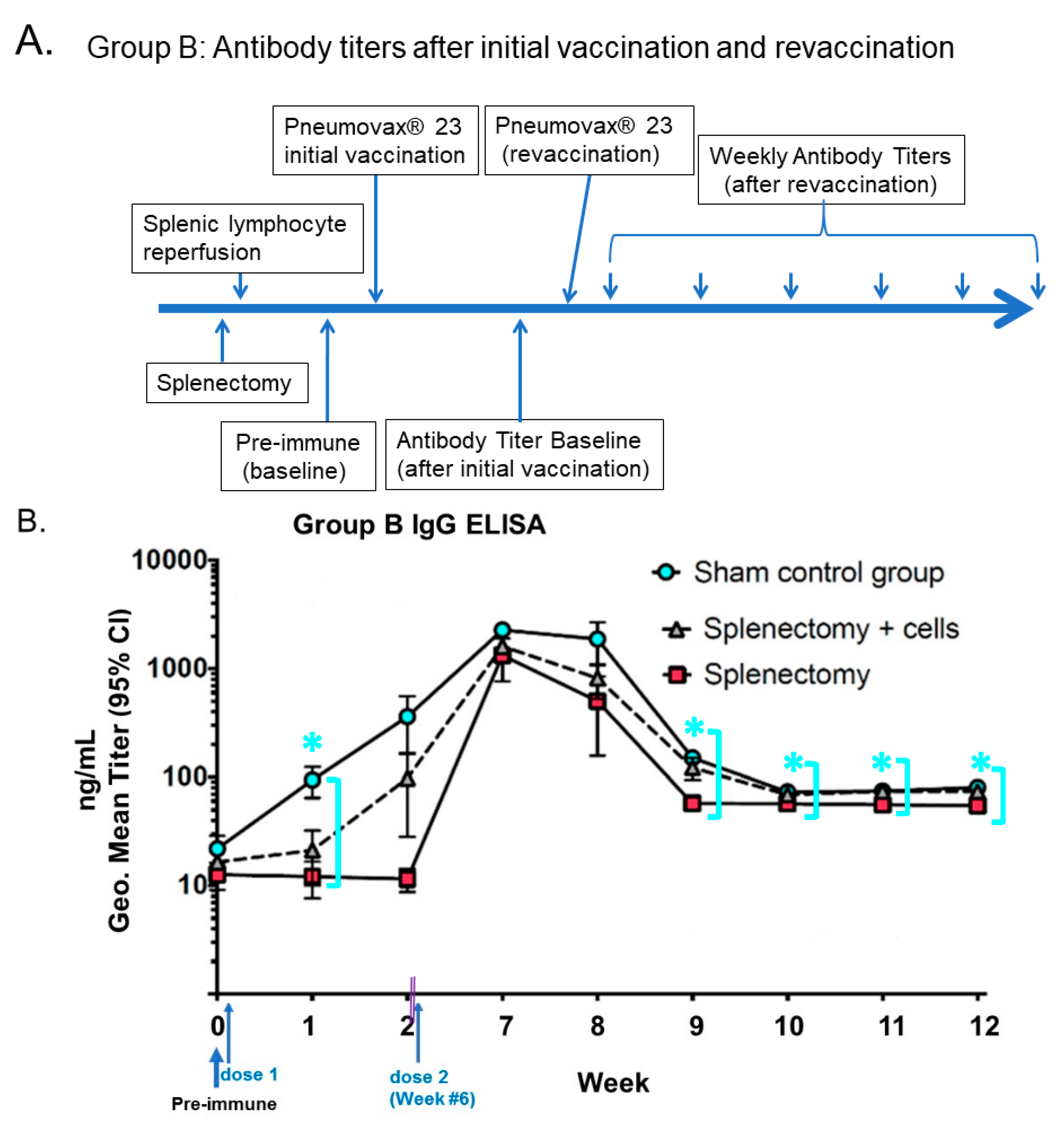 Pharmaceutics 14 02653 g001