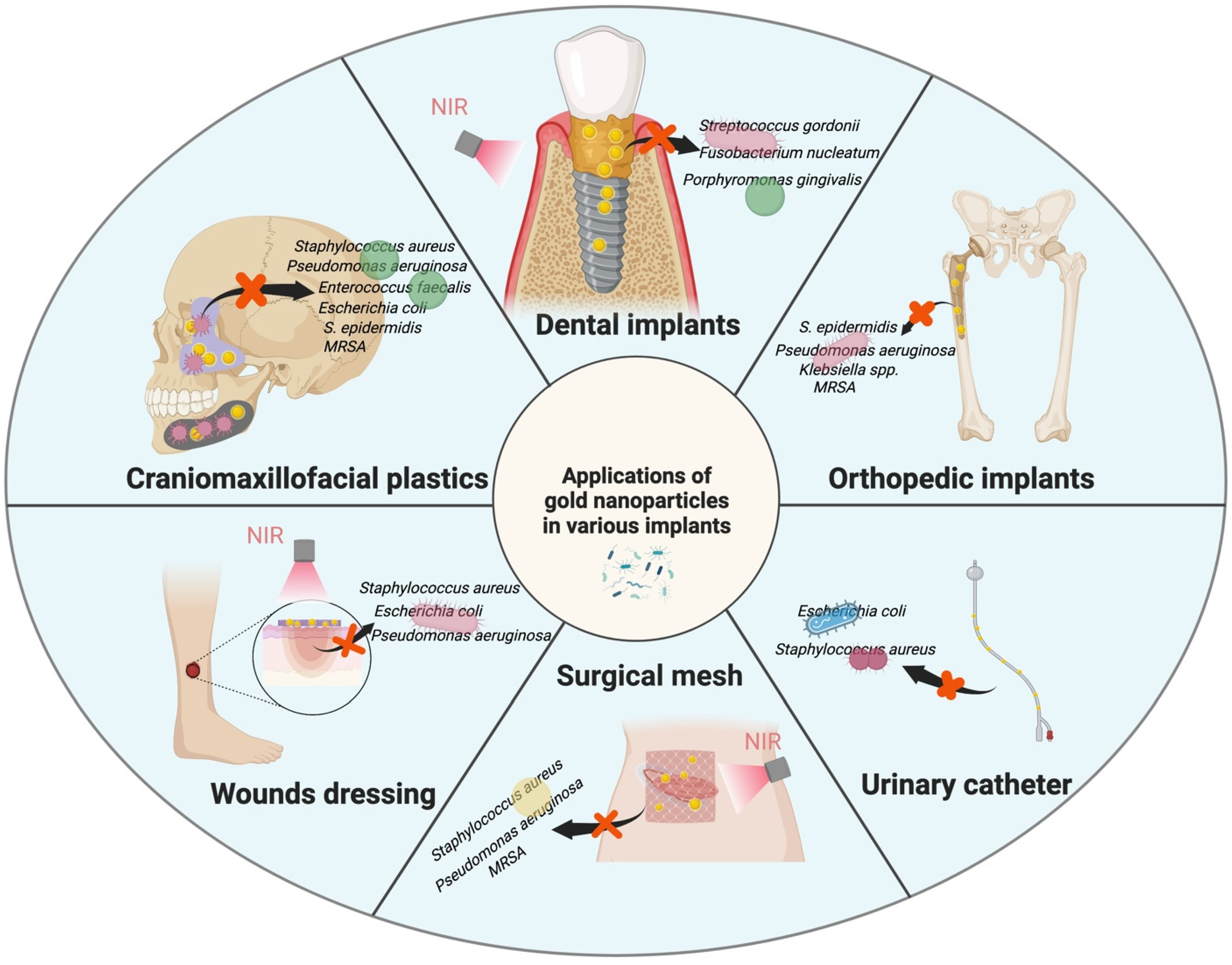 Pharmaceutics 14 02654 g004