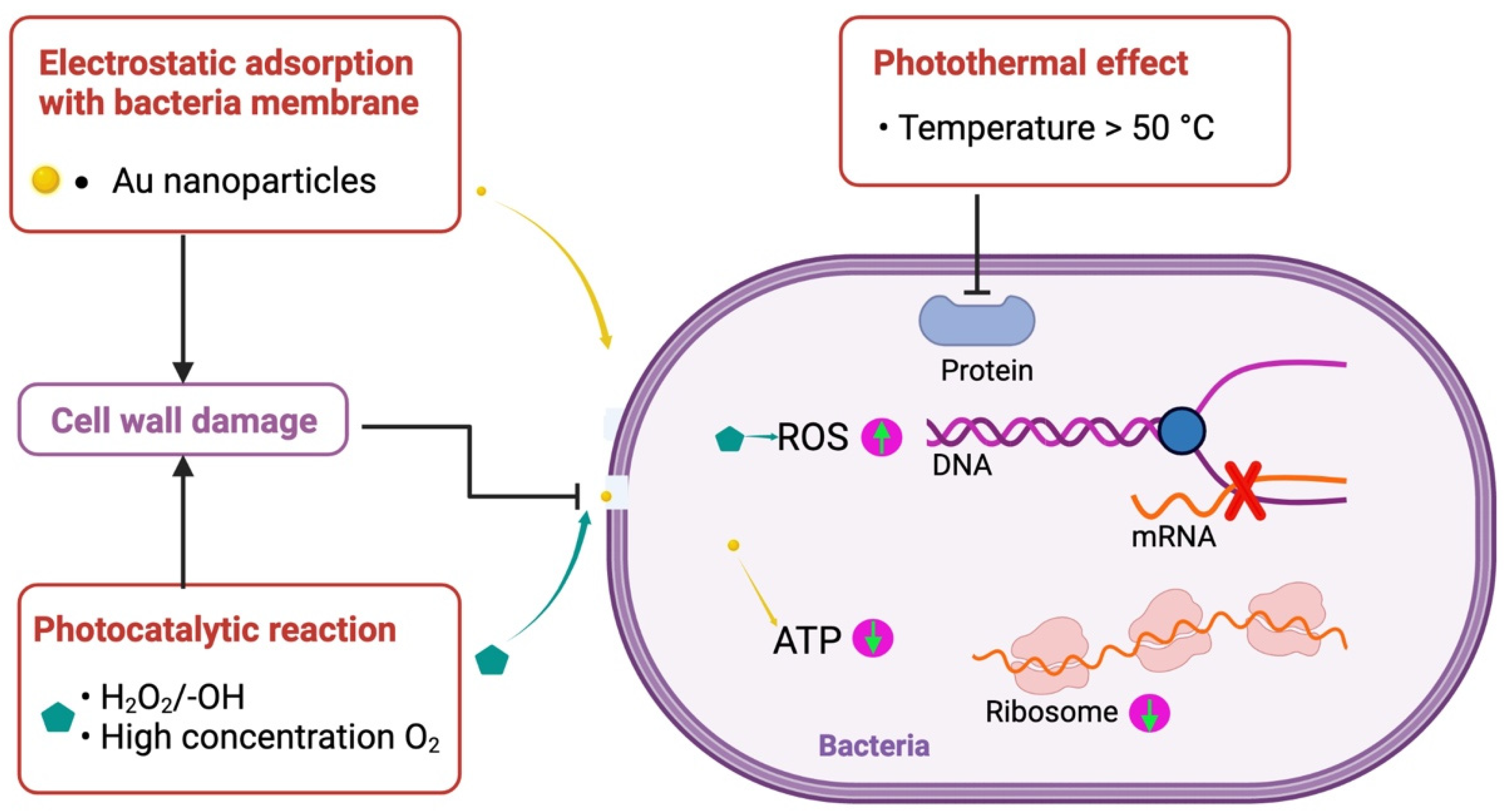 Pharmaceutics 14 02654 g005