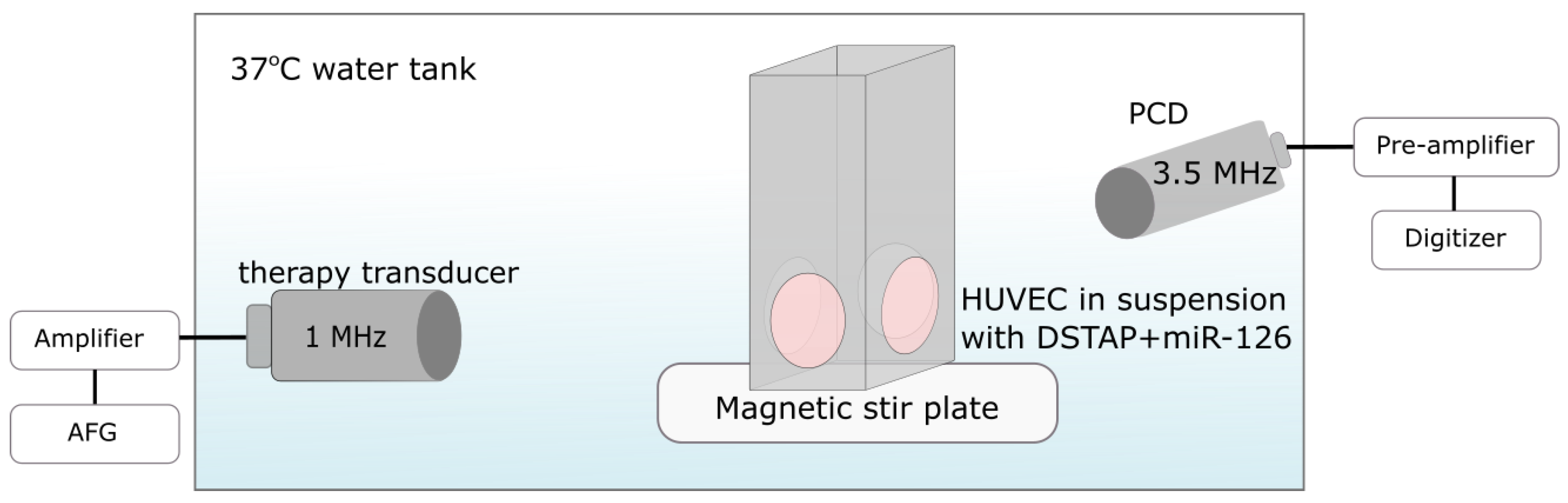 Pharmaceutics 14 02656 g001 Pharmaceutics 14 02656 g001