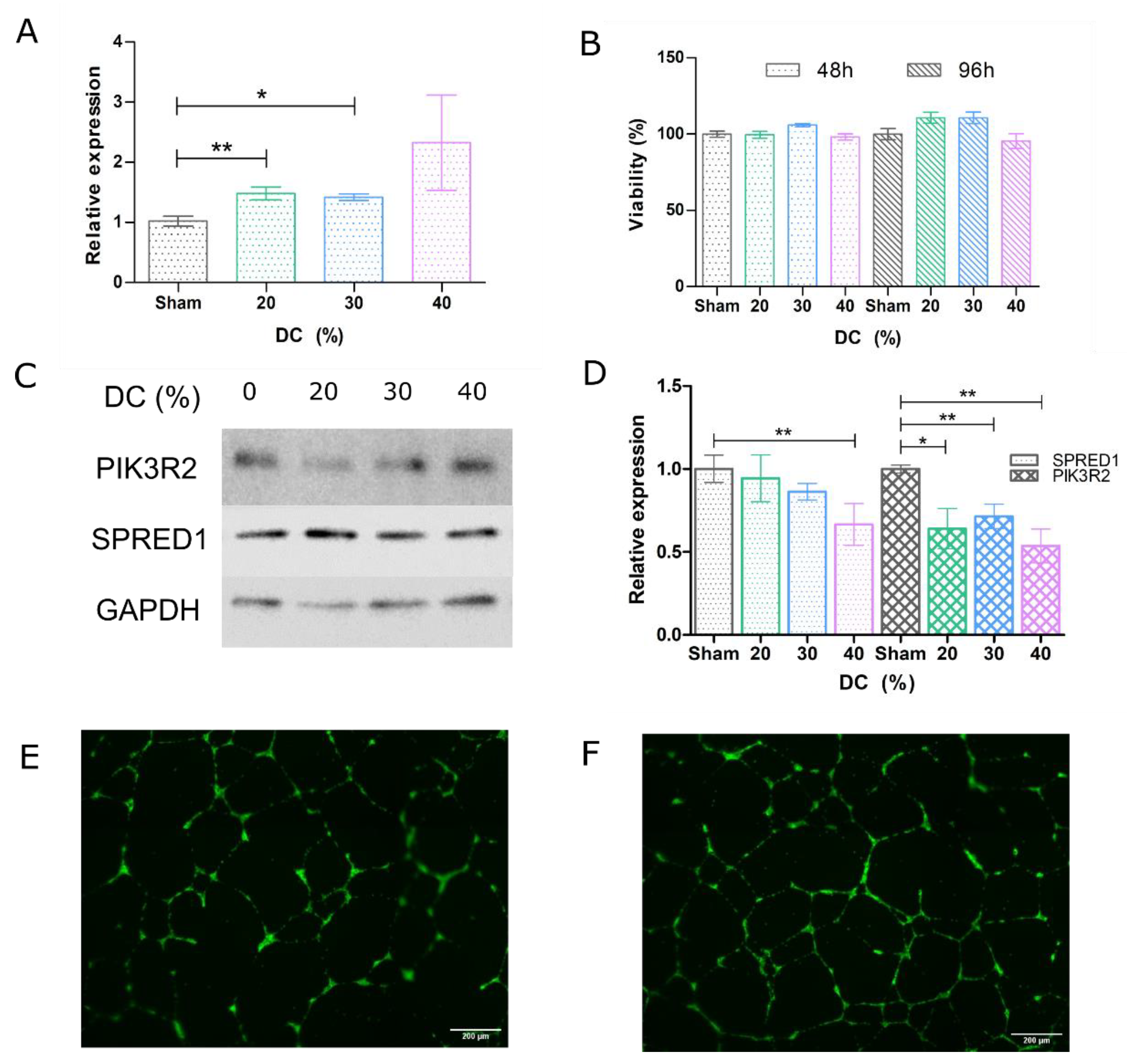 Pharmaceutics 14 02656 g004 Pharmaceutics 14 02656 g004