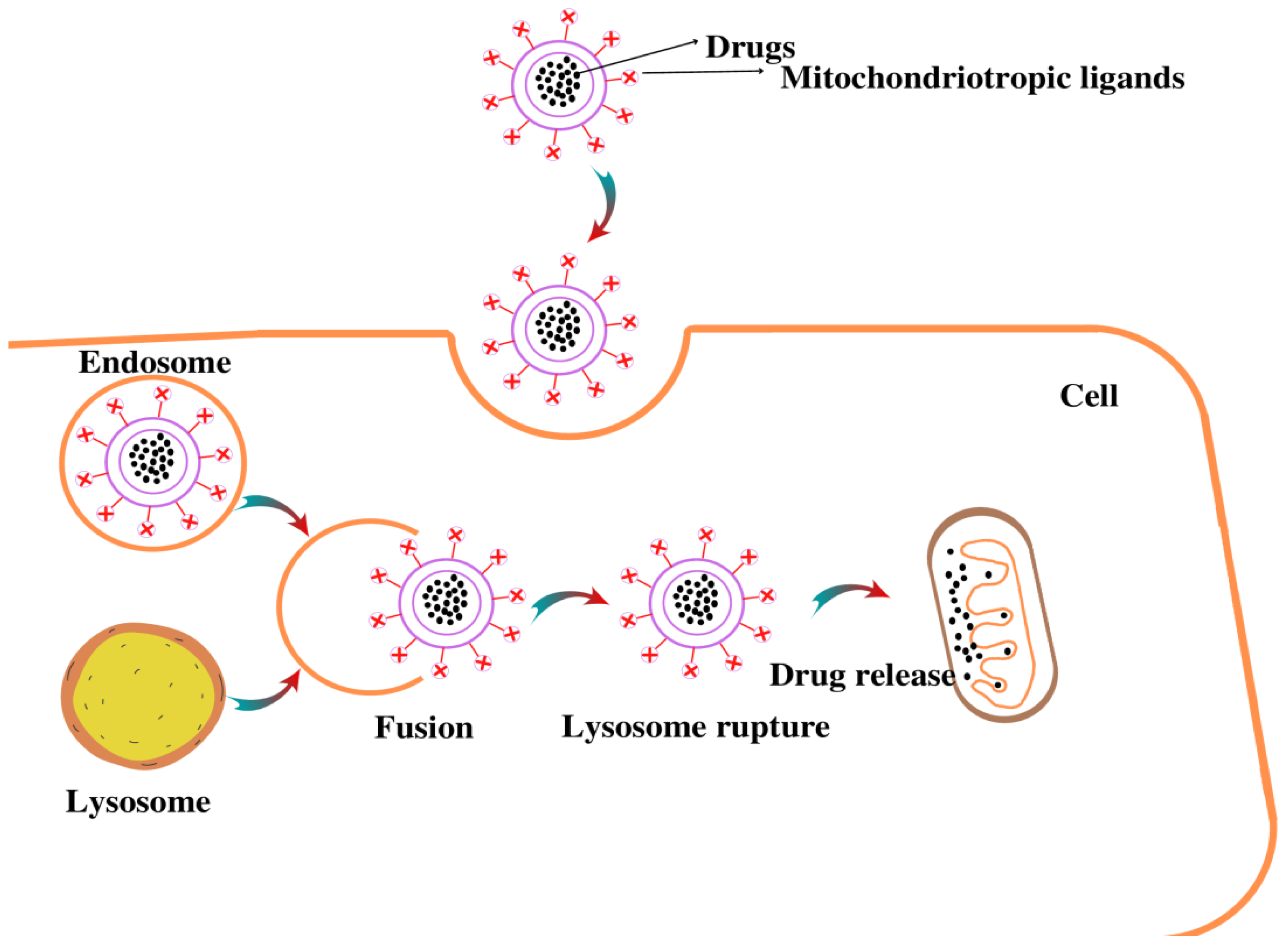 Pharmaceutics 14 02657 g004 Pharmaceutics 14 02657 g004