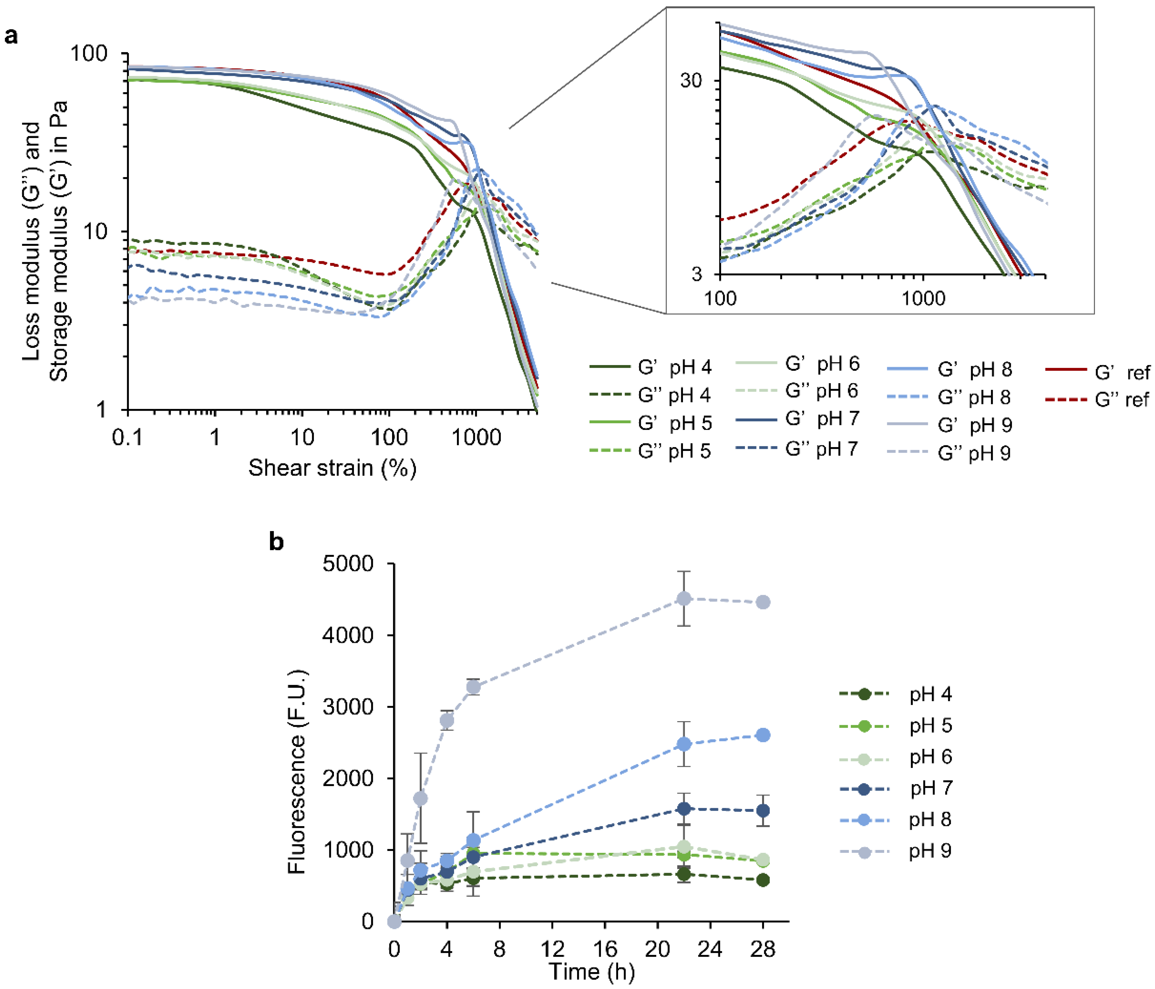 Pharmaceutics 14 02658 g004 Pharmaceutics 14 02658 g004