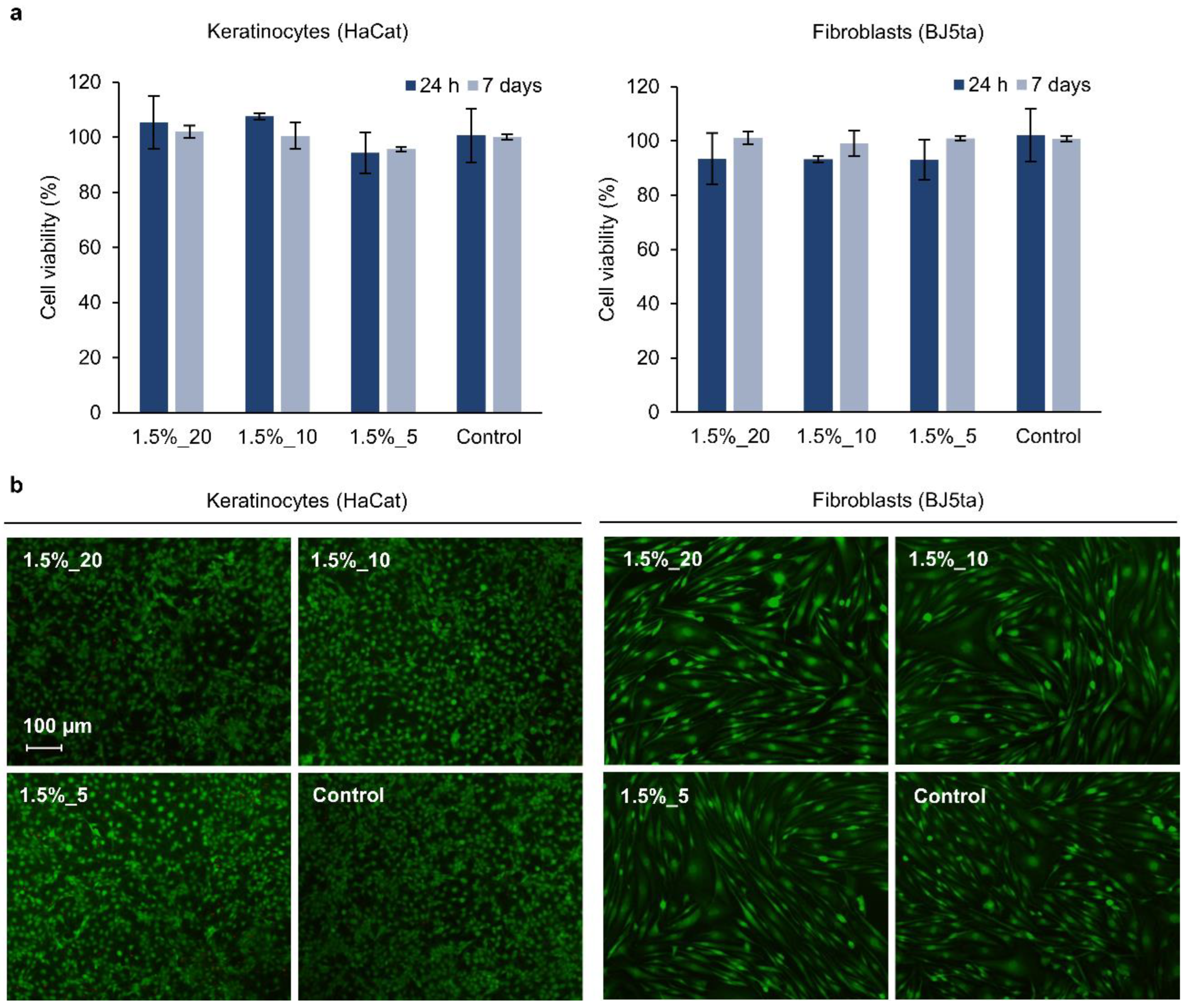Pharmaceutics 14 02658 g007 Pharmaceutics 14 02658 g007