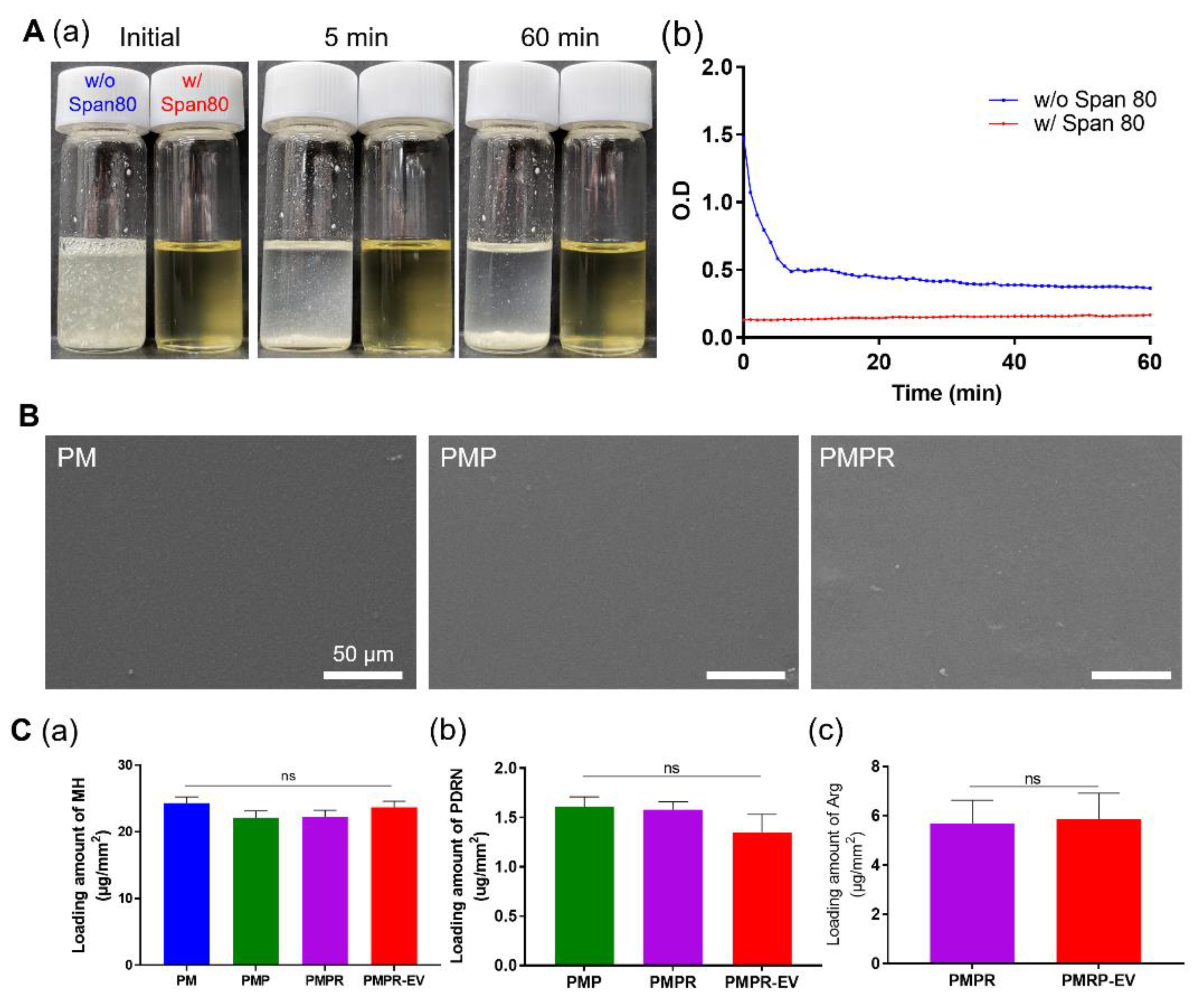 Pharmaceutics 14 02661 g001