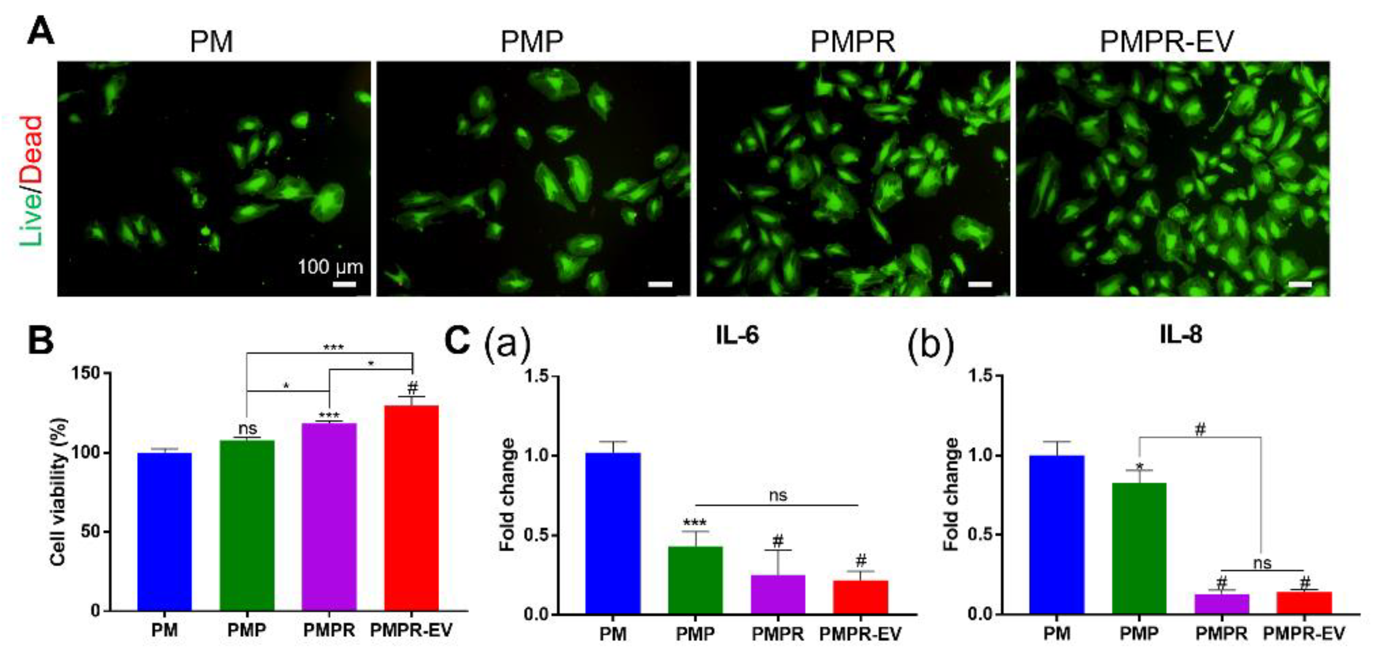 Pharmaceutics 14 02661 g004