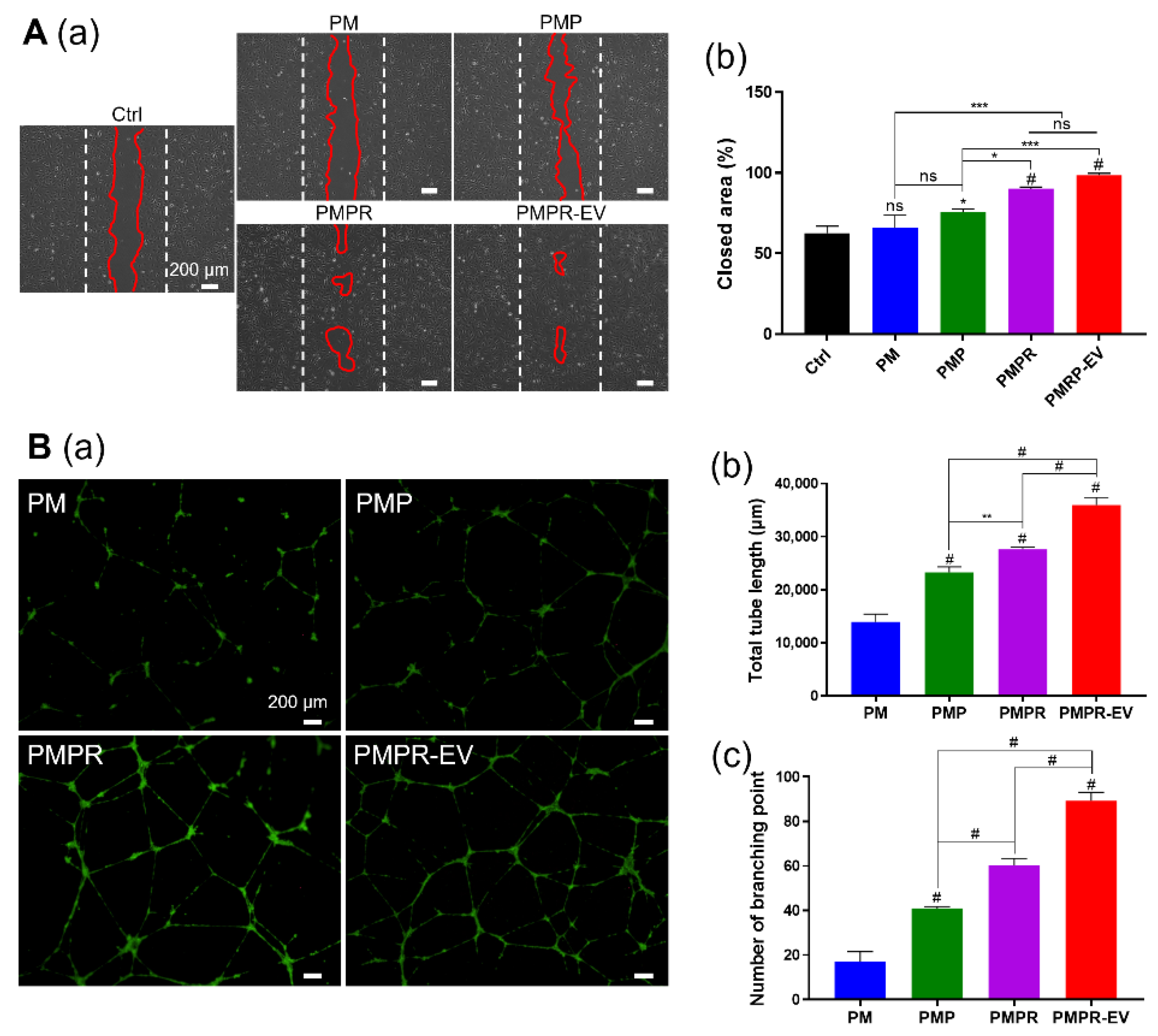 Pharmaceutics 14 02661 g006