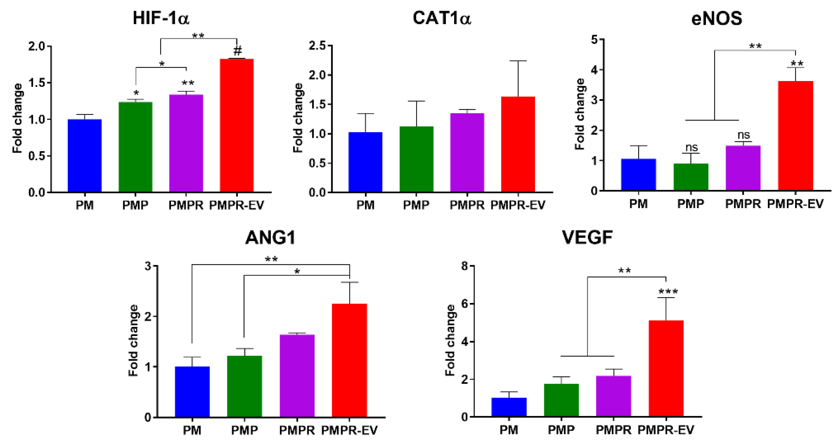 Pharmaceutics 14 02661 g007