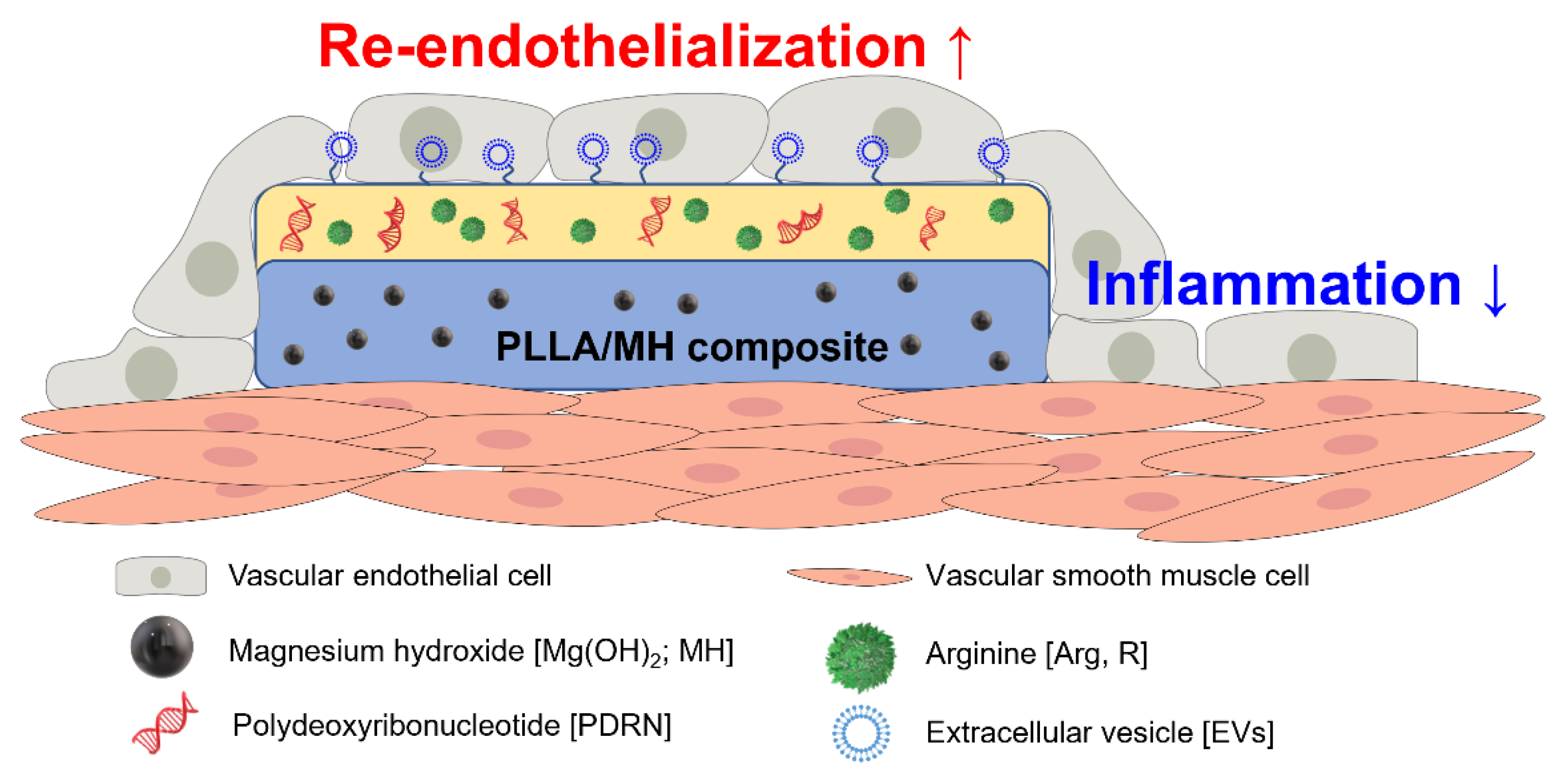 Pharmaceutics 14 02661 sch001