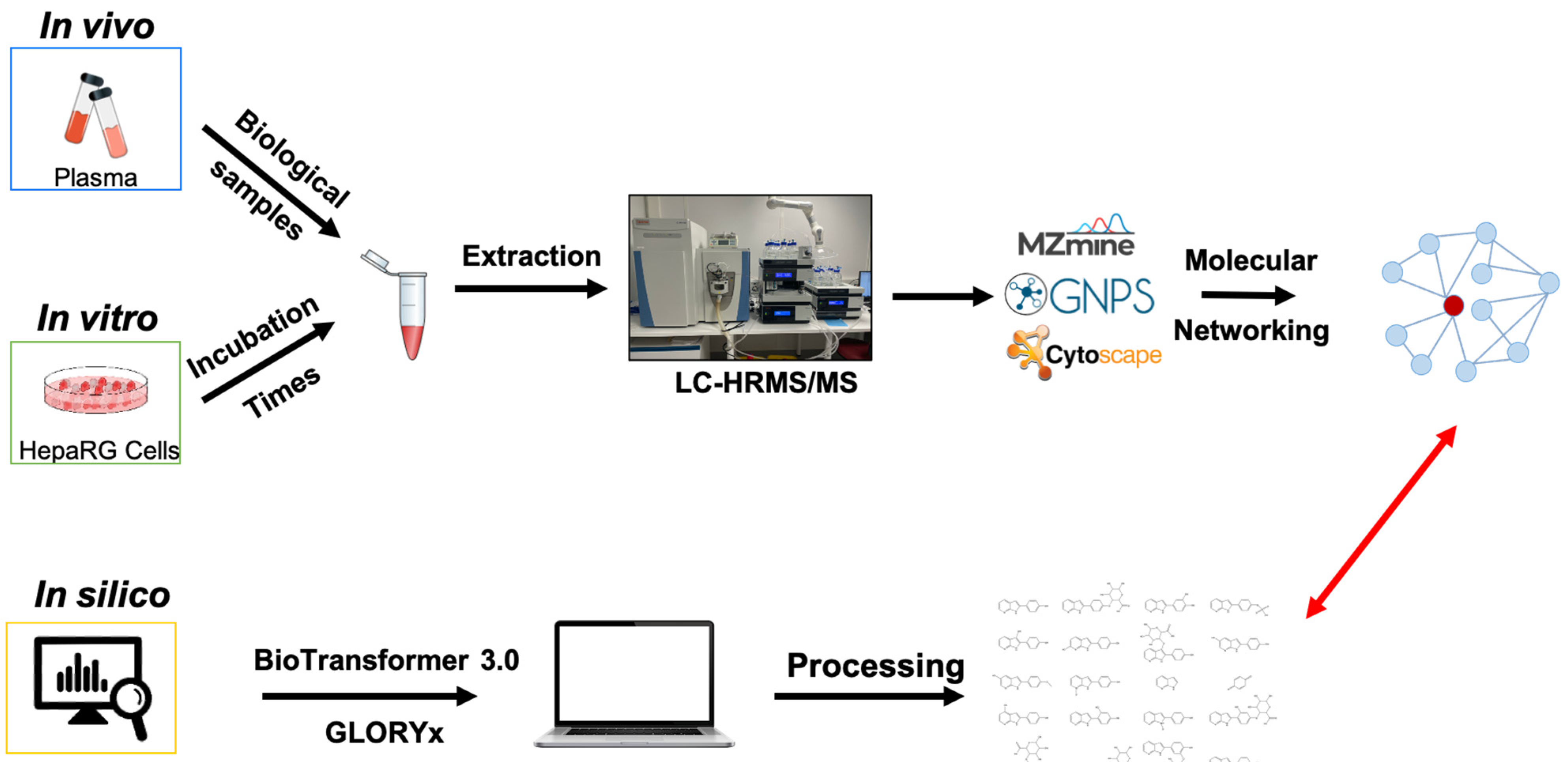 Pharmaceutics 14 02665 g001 Pharmaceutics 14 02665 g001