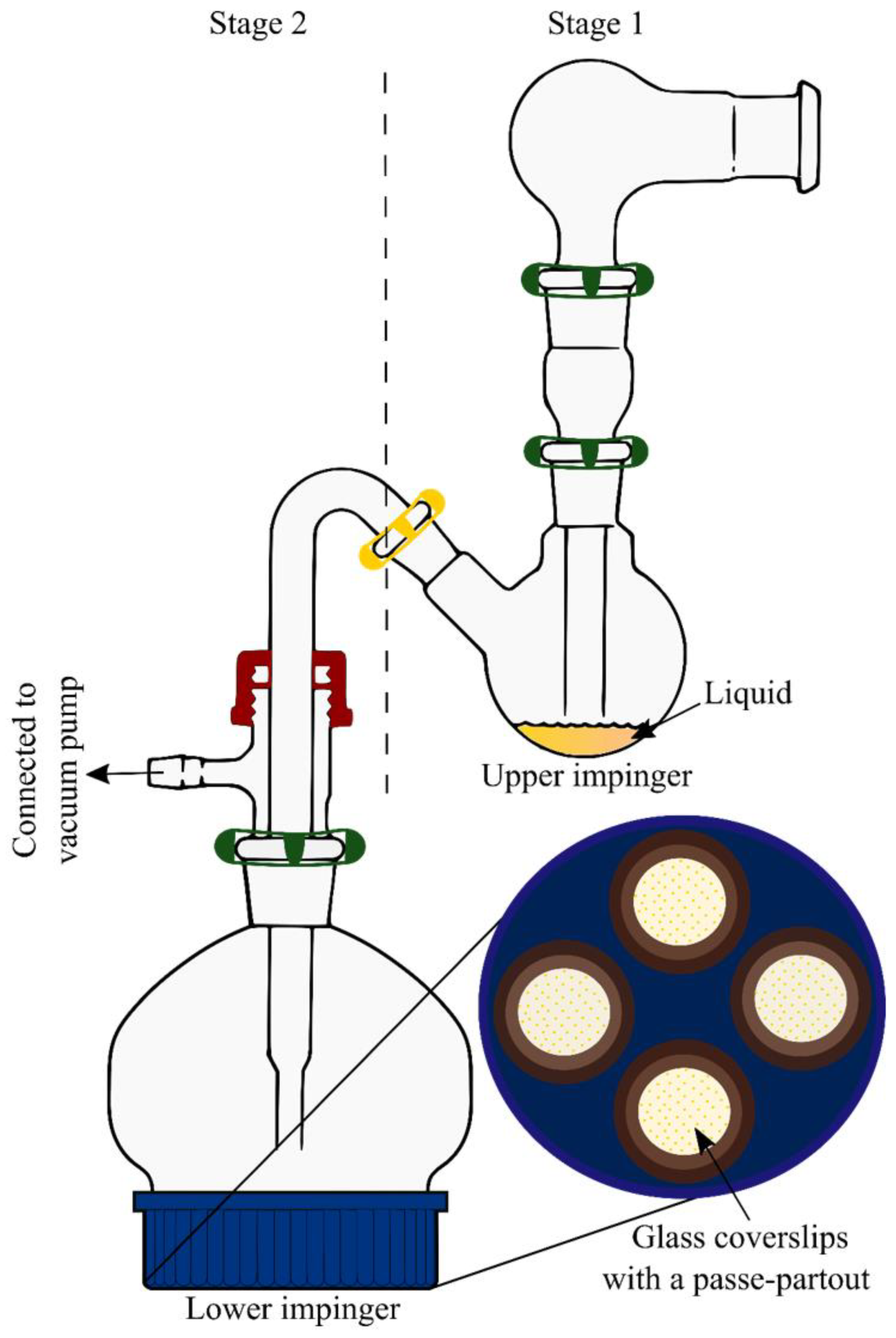 Pharmaceutics 14 02667 g003