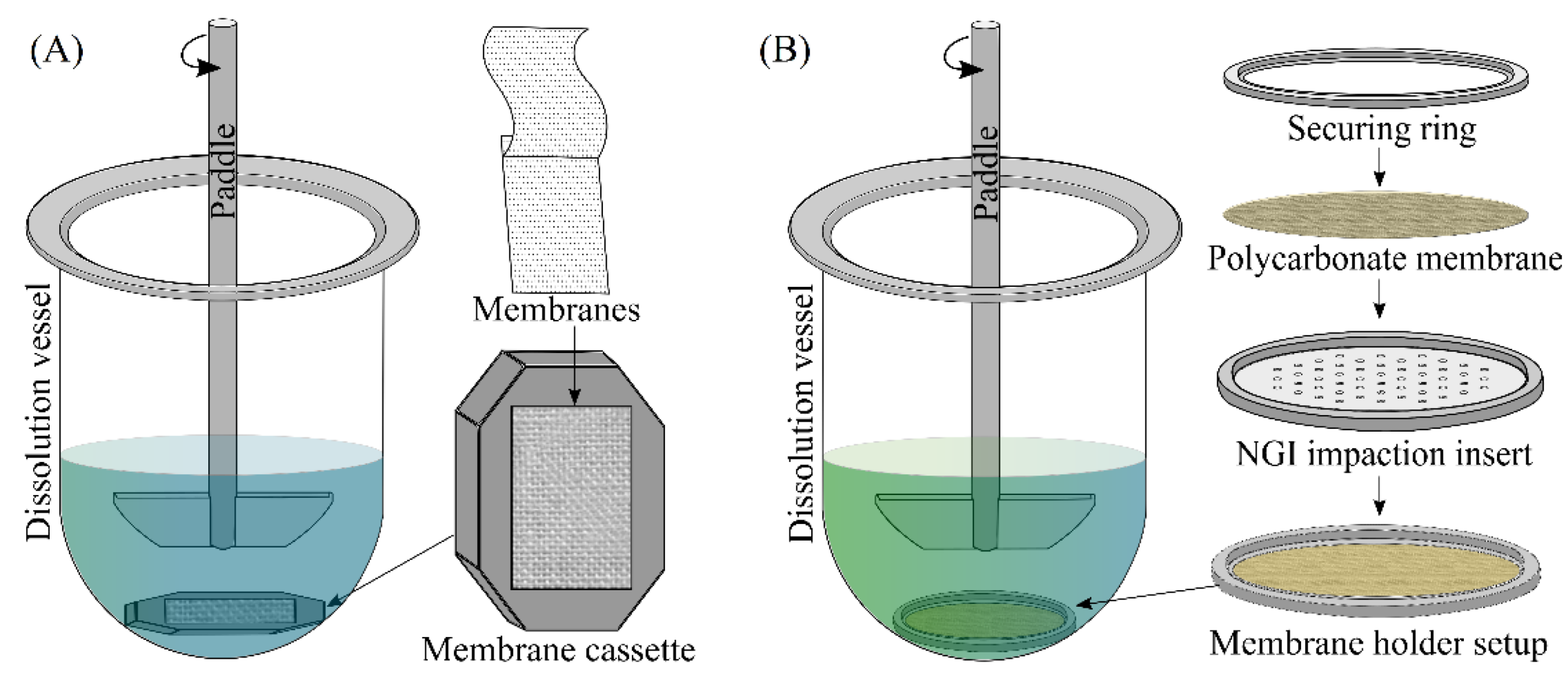 Pharmaceutics 14 02667 g004