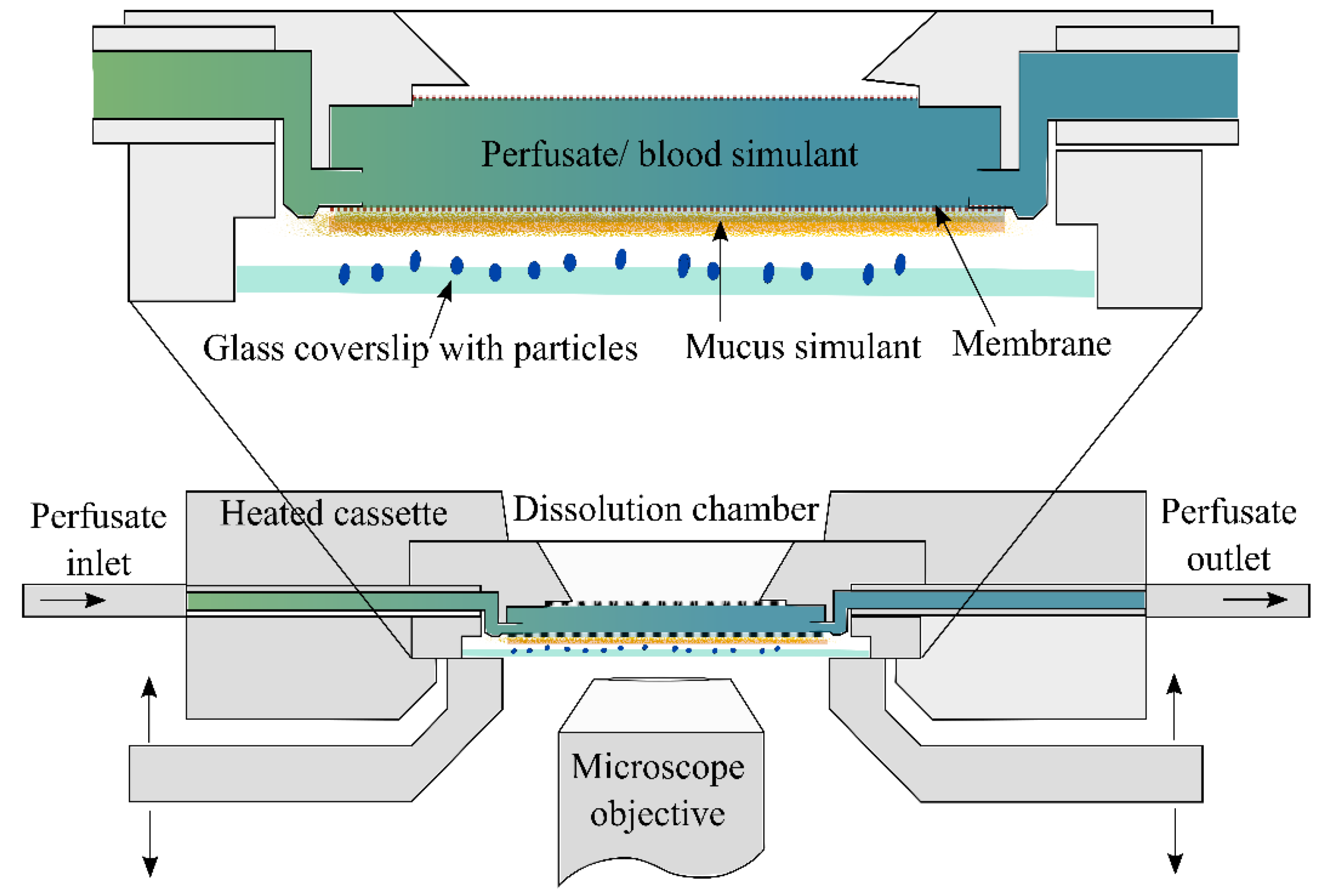 Pharmaceutics 14 02667 g006