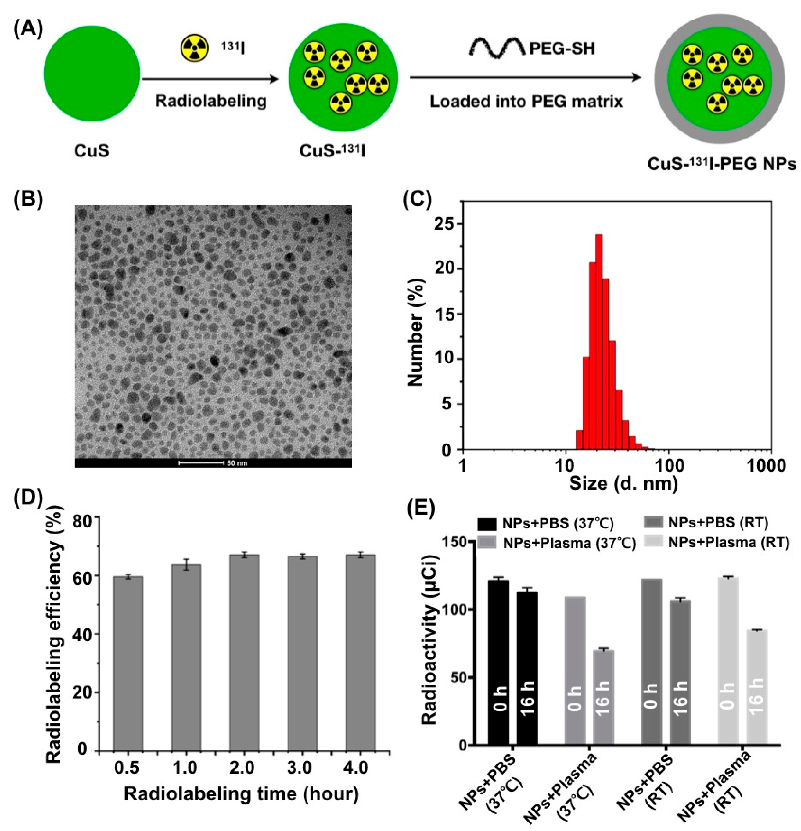 Pharmaceutics 14 02669 g001 Pharmaceutics 14 02669 g001
