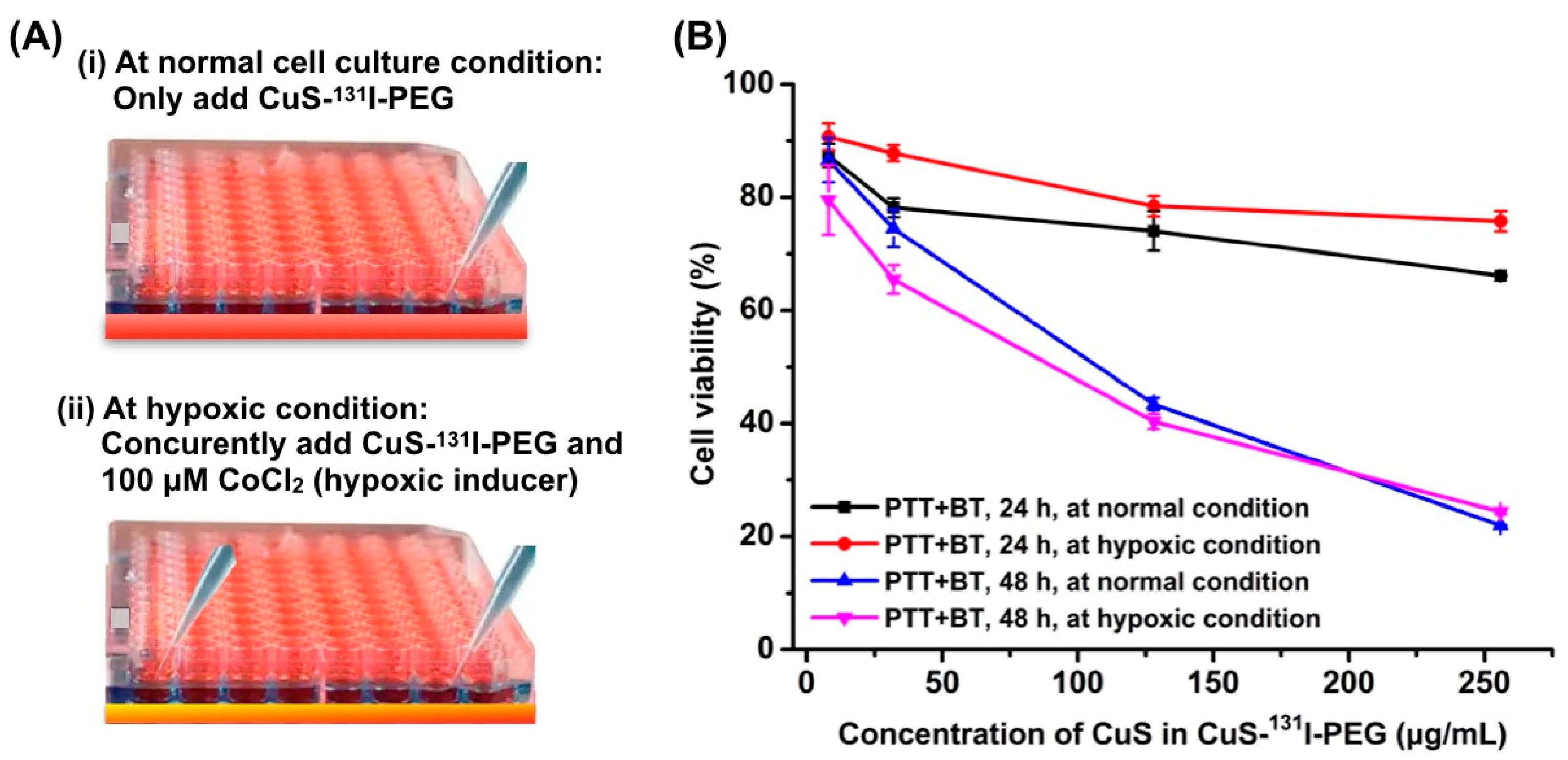 Pharmaceutics 14 02669 g003 Pharmaceutics 14 02669 g003