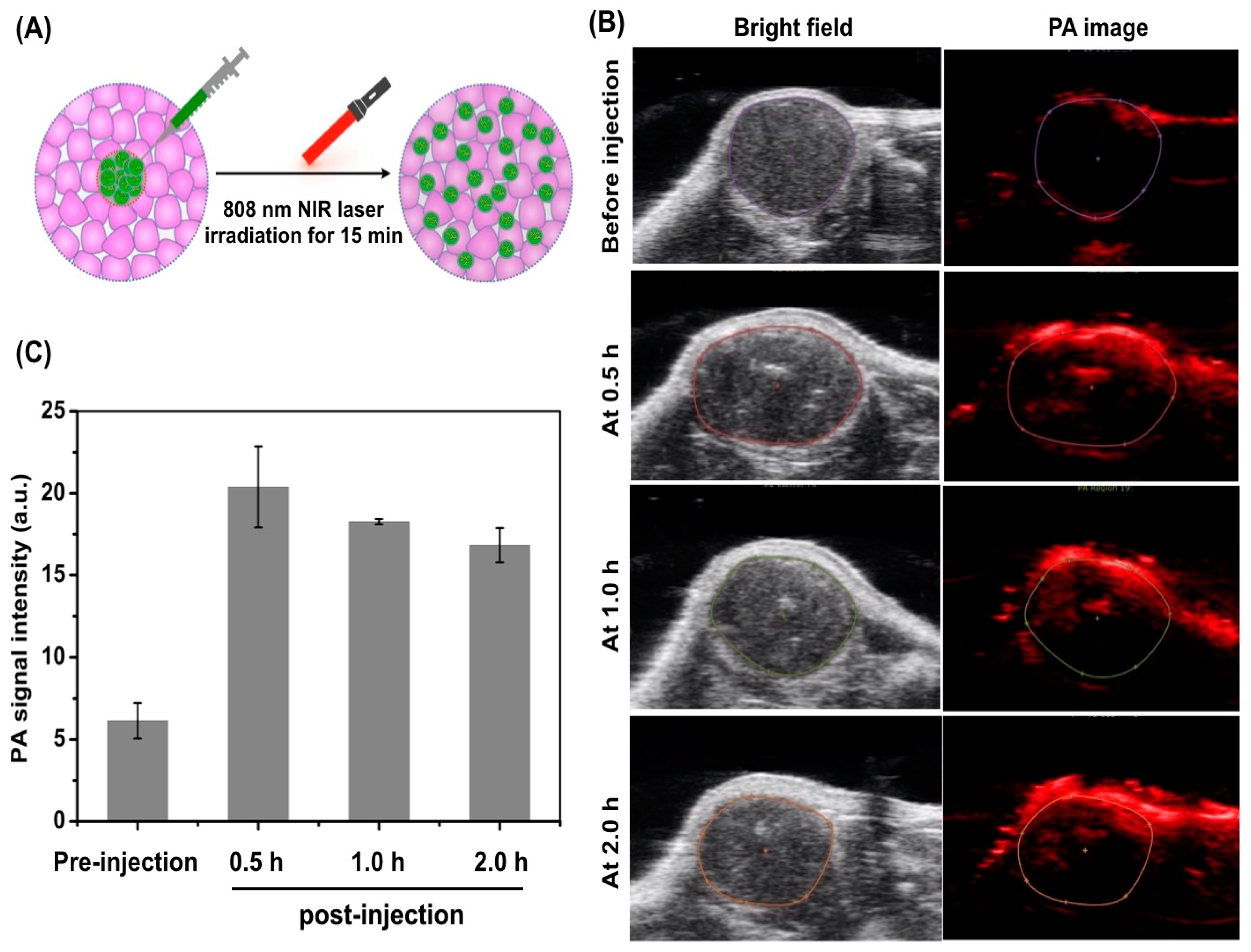 Pharmaceutics 14 02669 g004 Pharmaceutics 14 02669 g004
