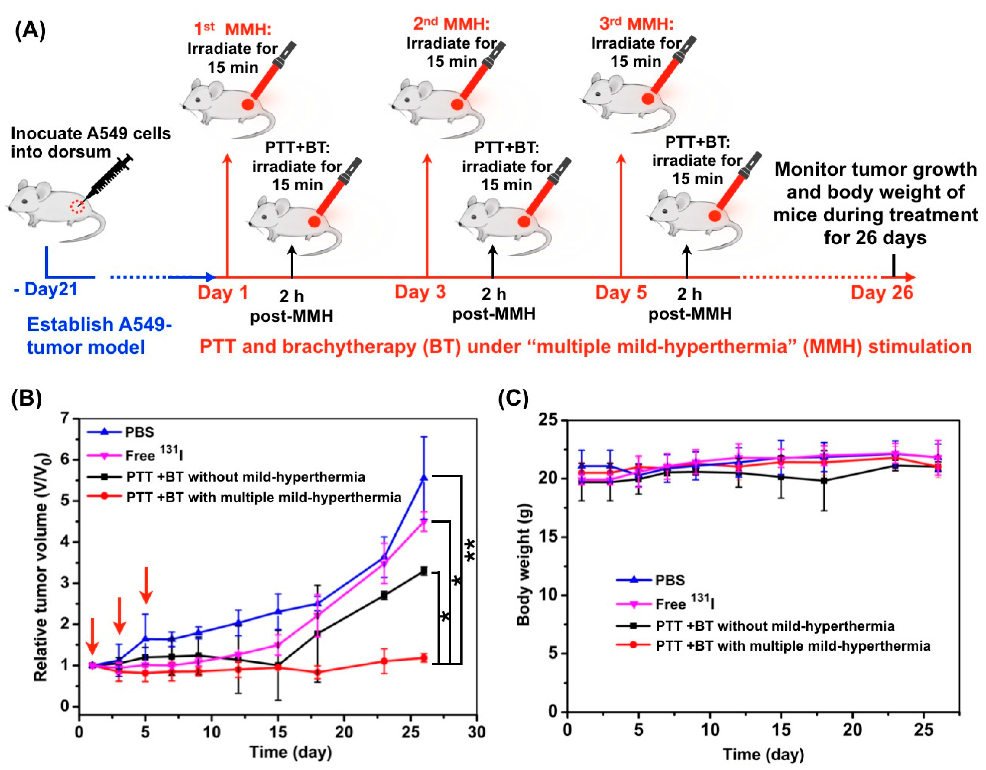 Pharmaceutics 14 02669 g006 Pharmaceutics 14 02669 g006