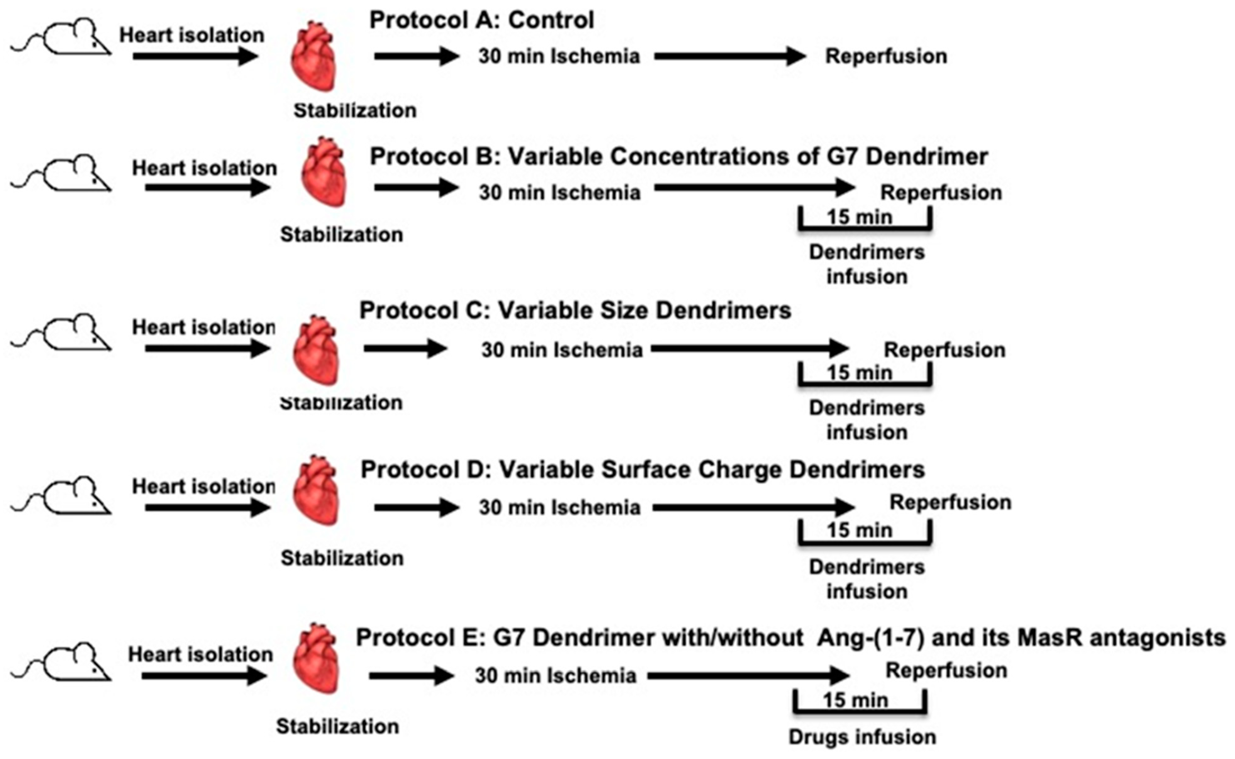 Pharmaceutics 14 02673 g001 Pharmaceutics 14 02673 g001