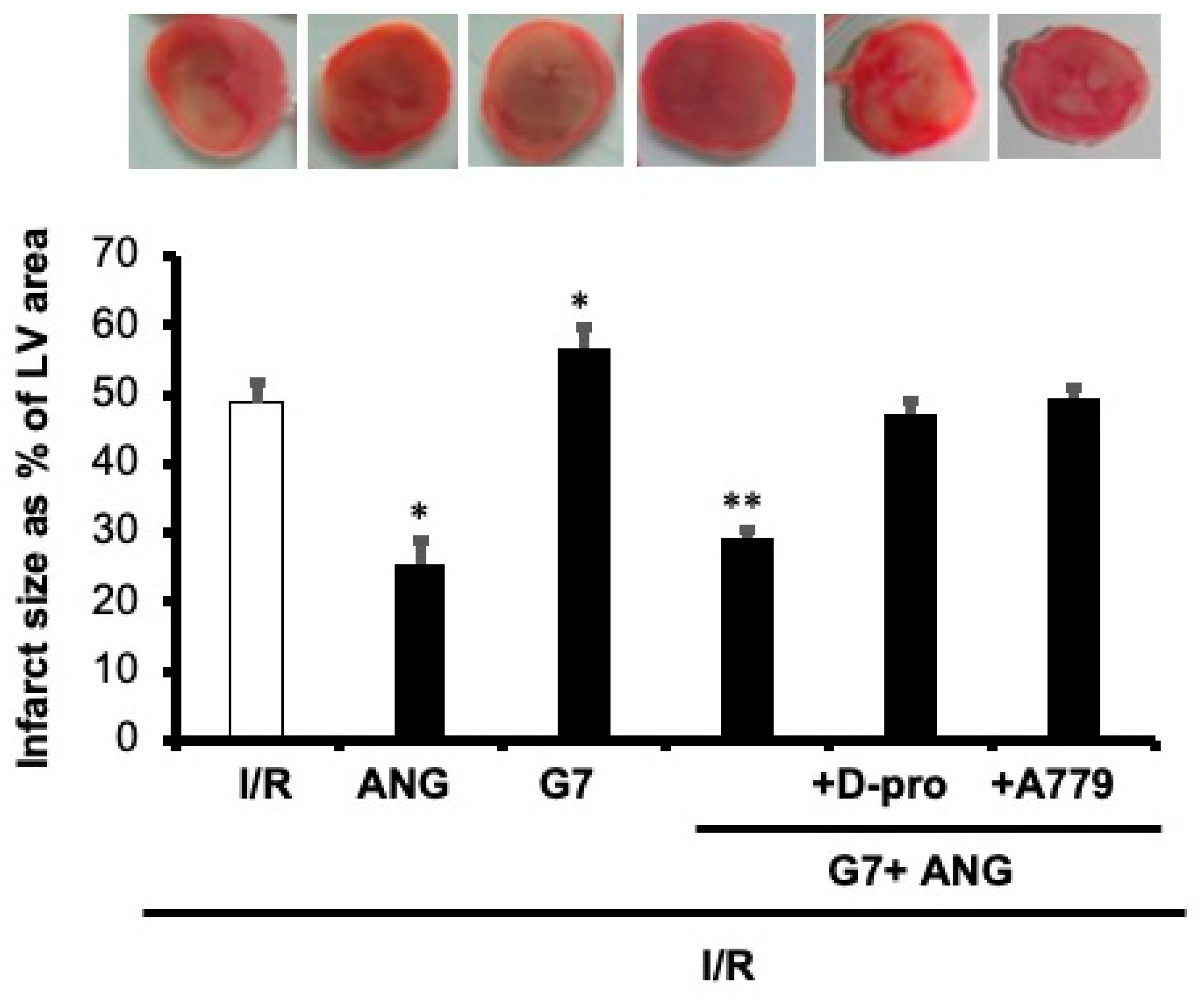 Pharmaceutics 14 02673 g005 Pharmaceutics 14 02673 g005