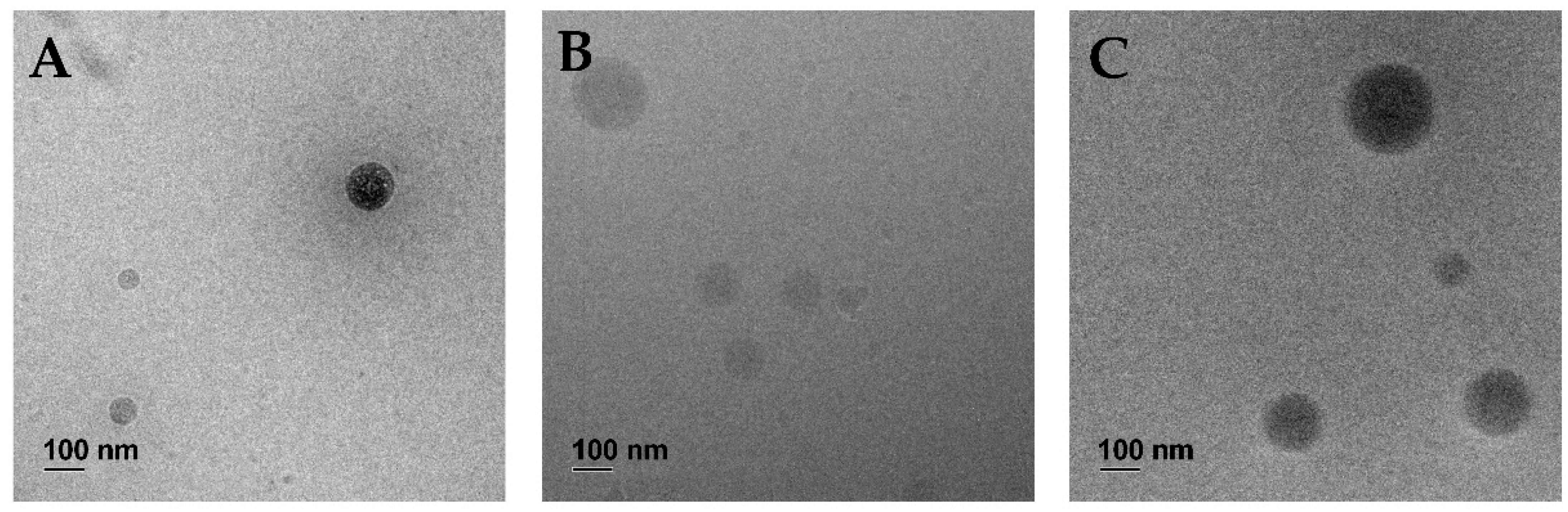 Pharmaceutics 14 02675 g002