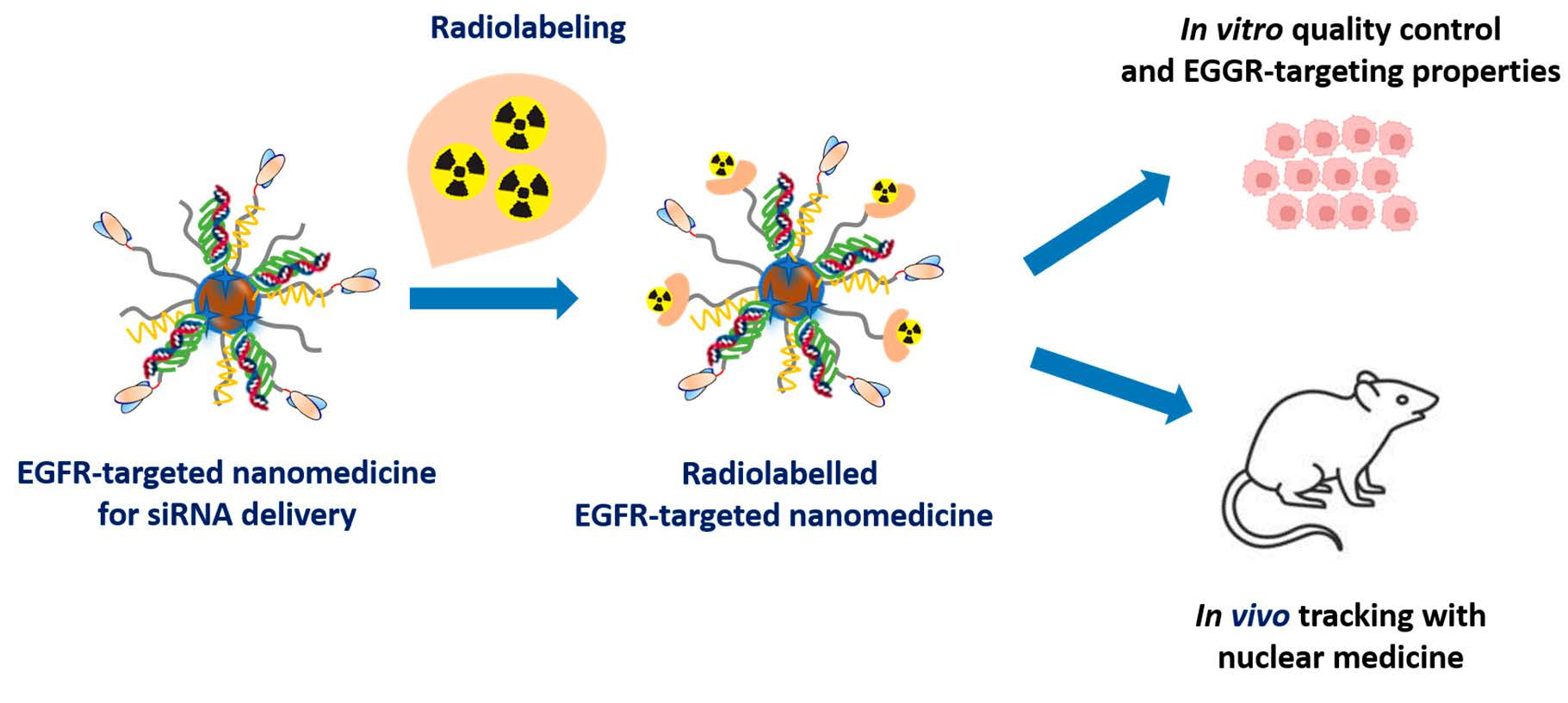 Pharmaceutics Free FullText Radiolabeling, Quality Control and In