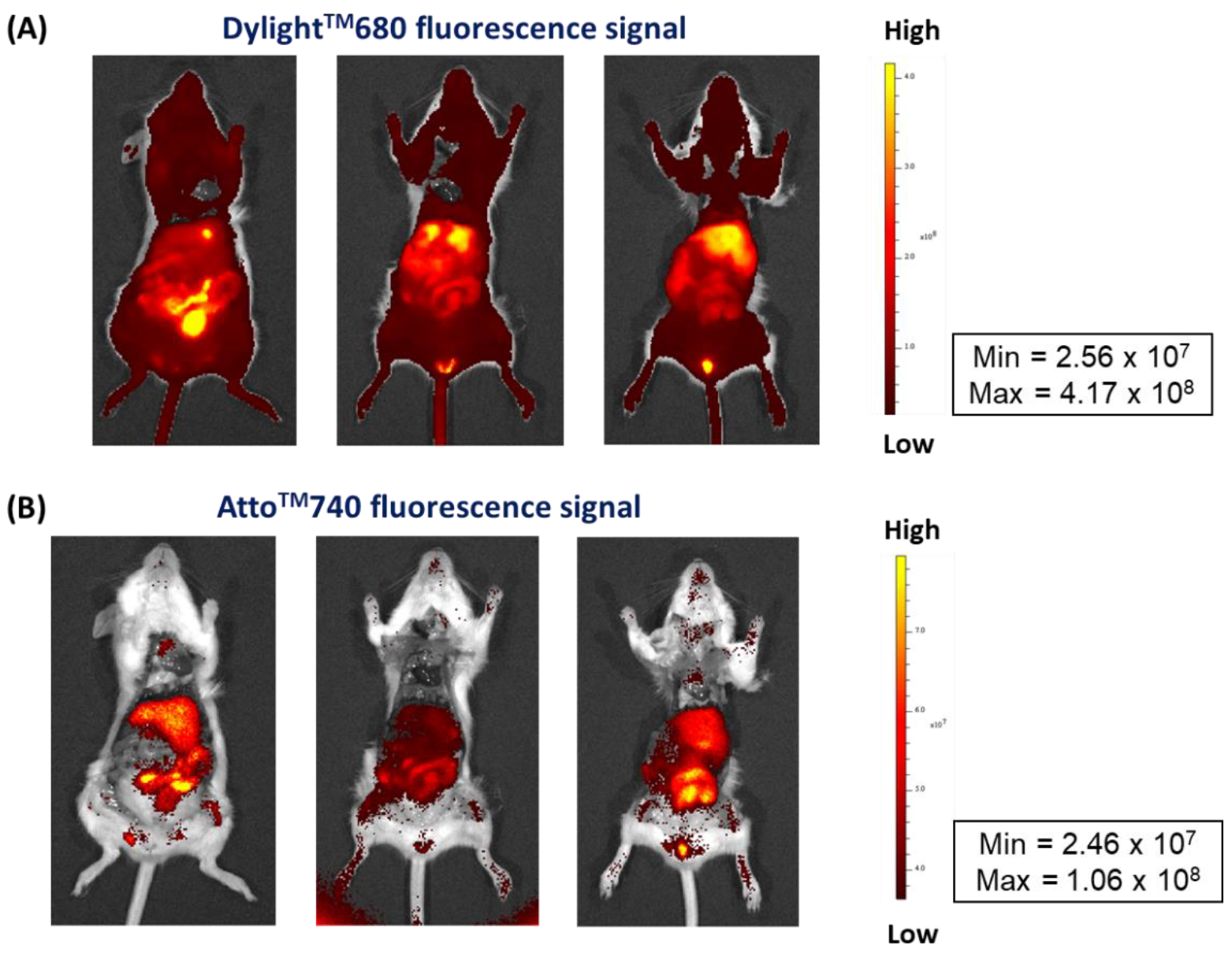 Pharmaceutics 14 02679 g006 Pharmaceutics 14 02679 g006