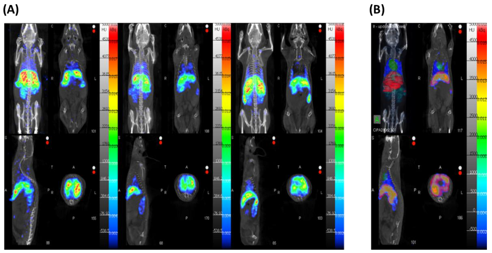 Pharmaceutics 14 02679 g007 Pharmaceutics 14 02679 g007