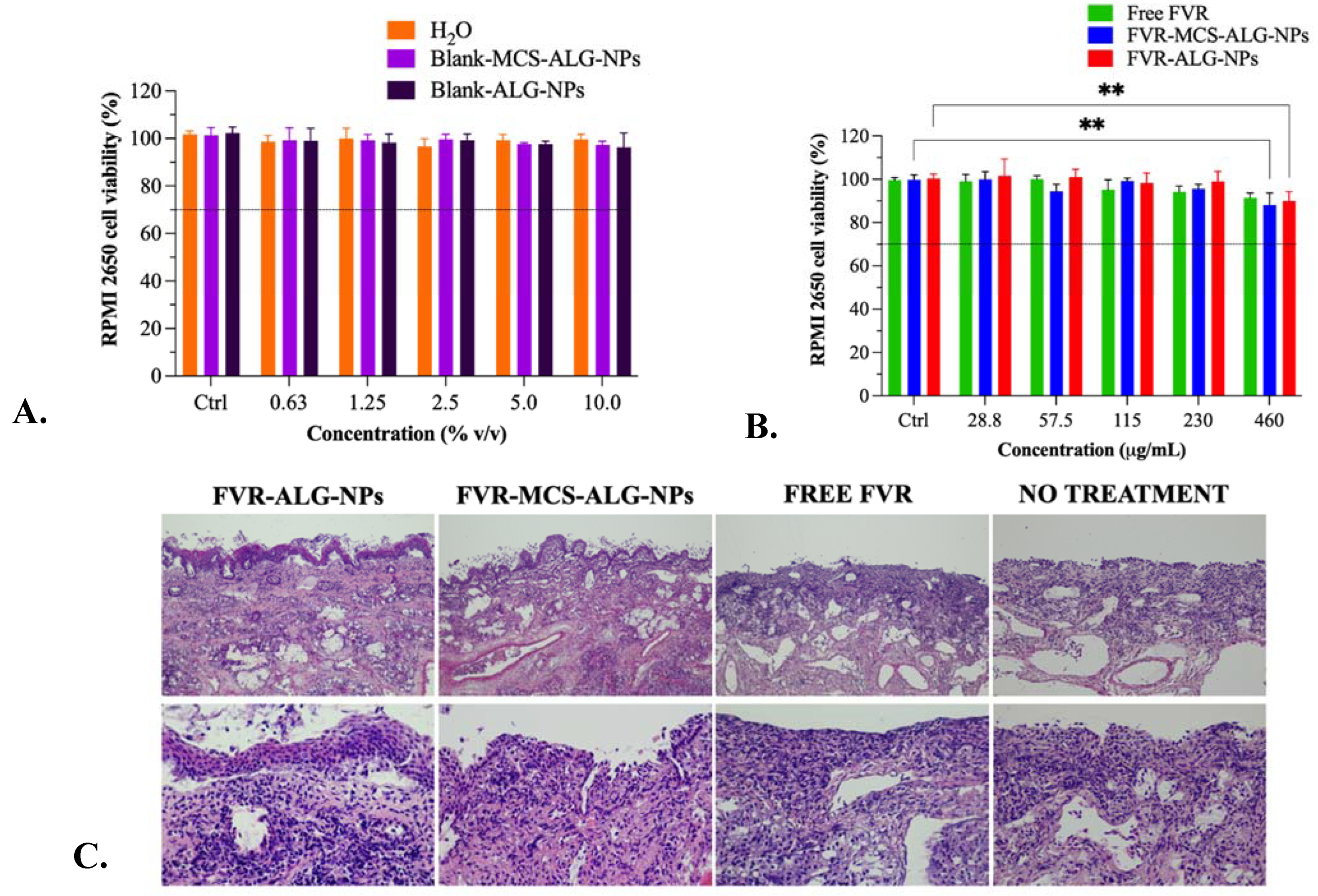 Pharmaceutics 14 02680 g006