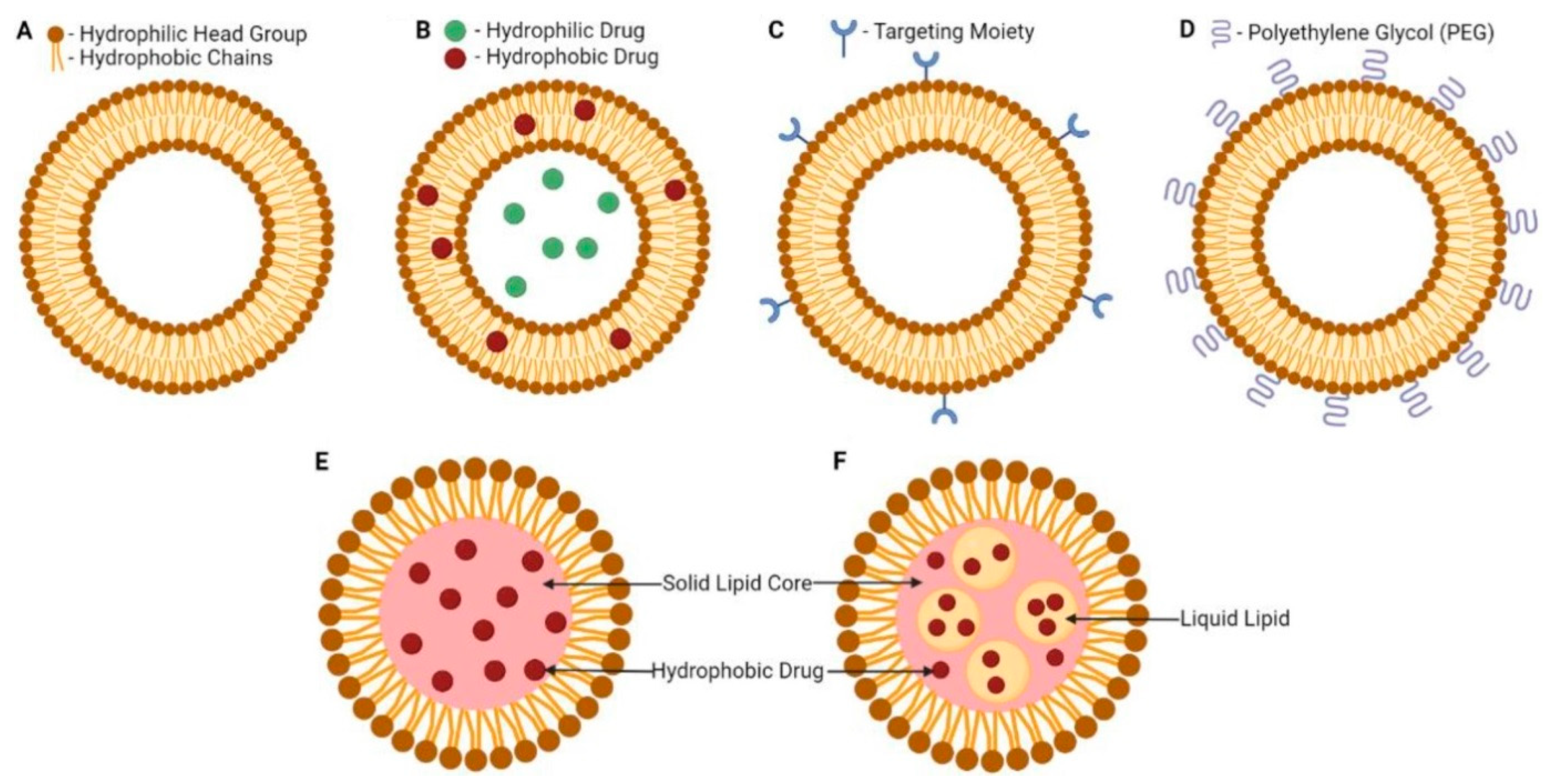 Pharmaceutics 14 02681 g005