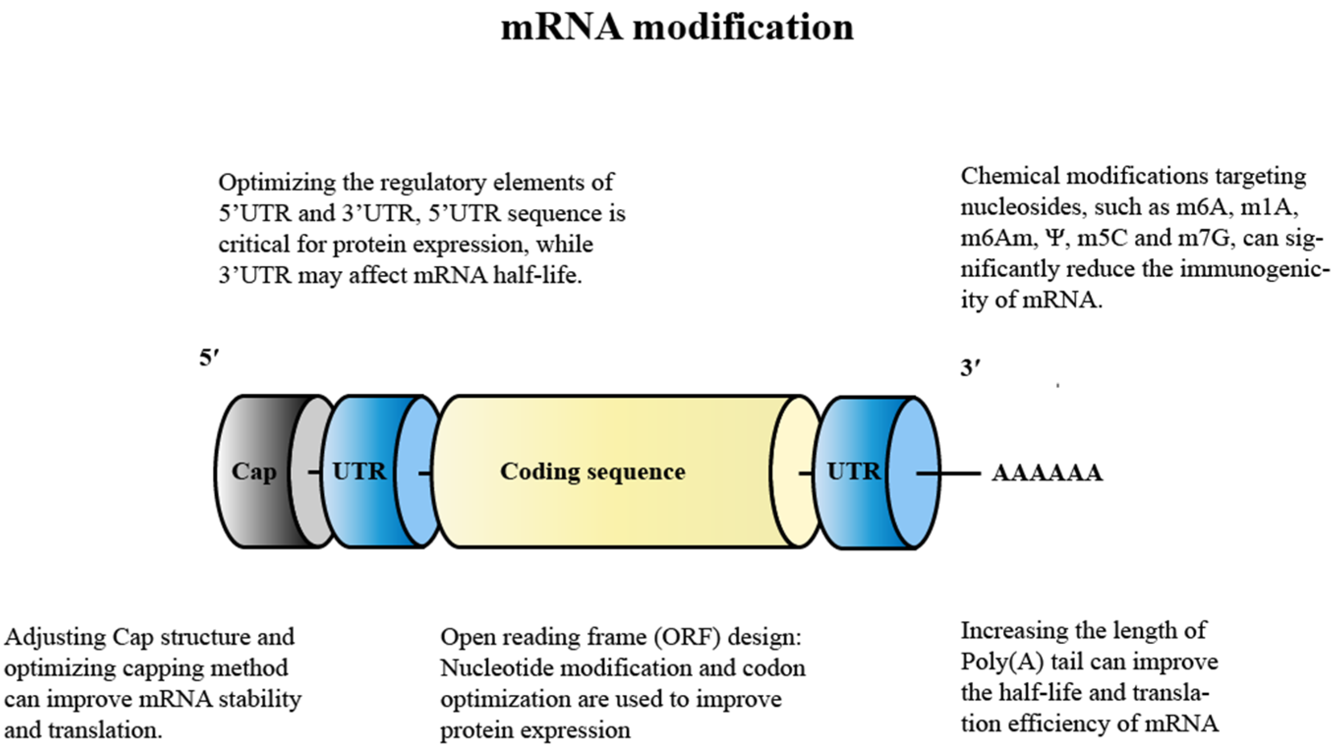 Pharmaceutics 14 02682 g004 Pharmaceutics 14 02682 g004