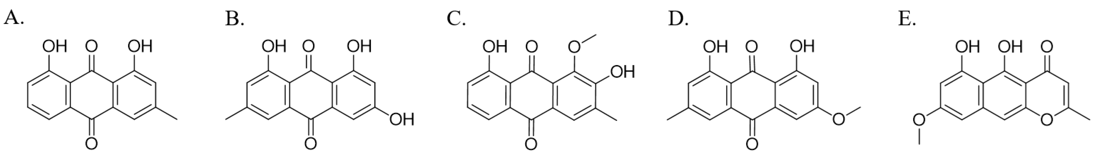 Pharmaceutics 14 02683 g001