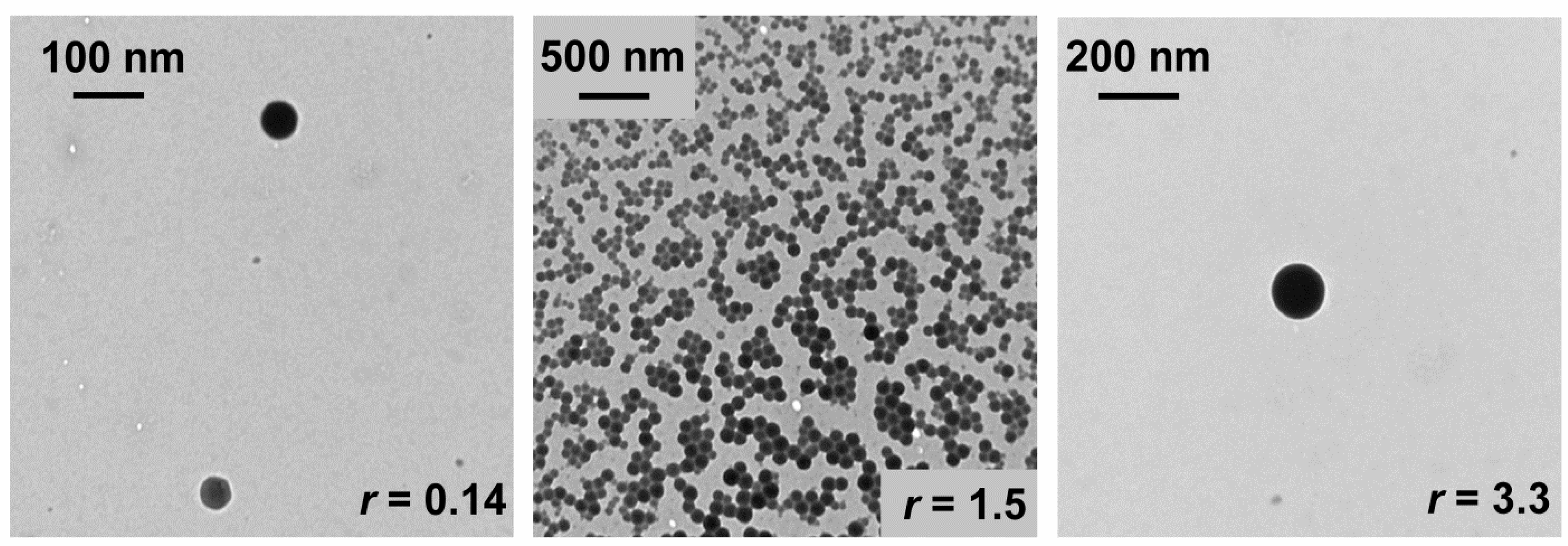 Pharmaceutics 14 02685 g008