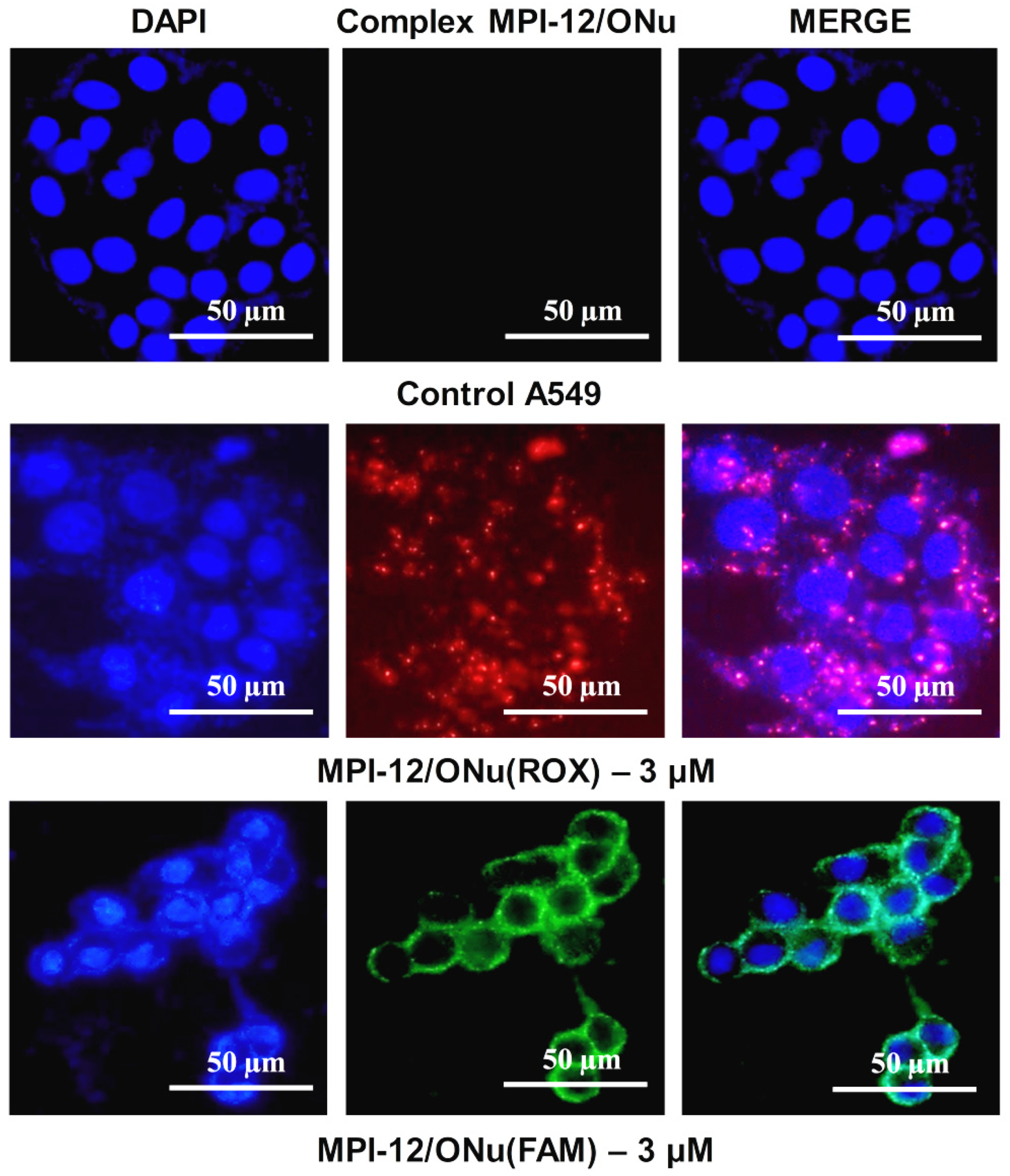 Pharmaceutics 14 02685 g013